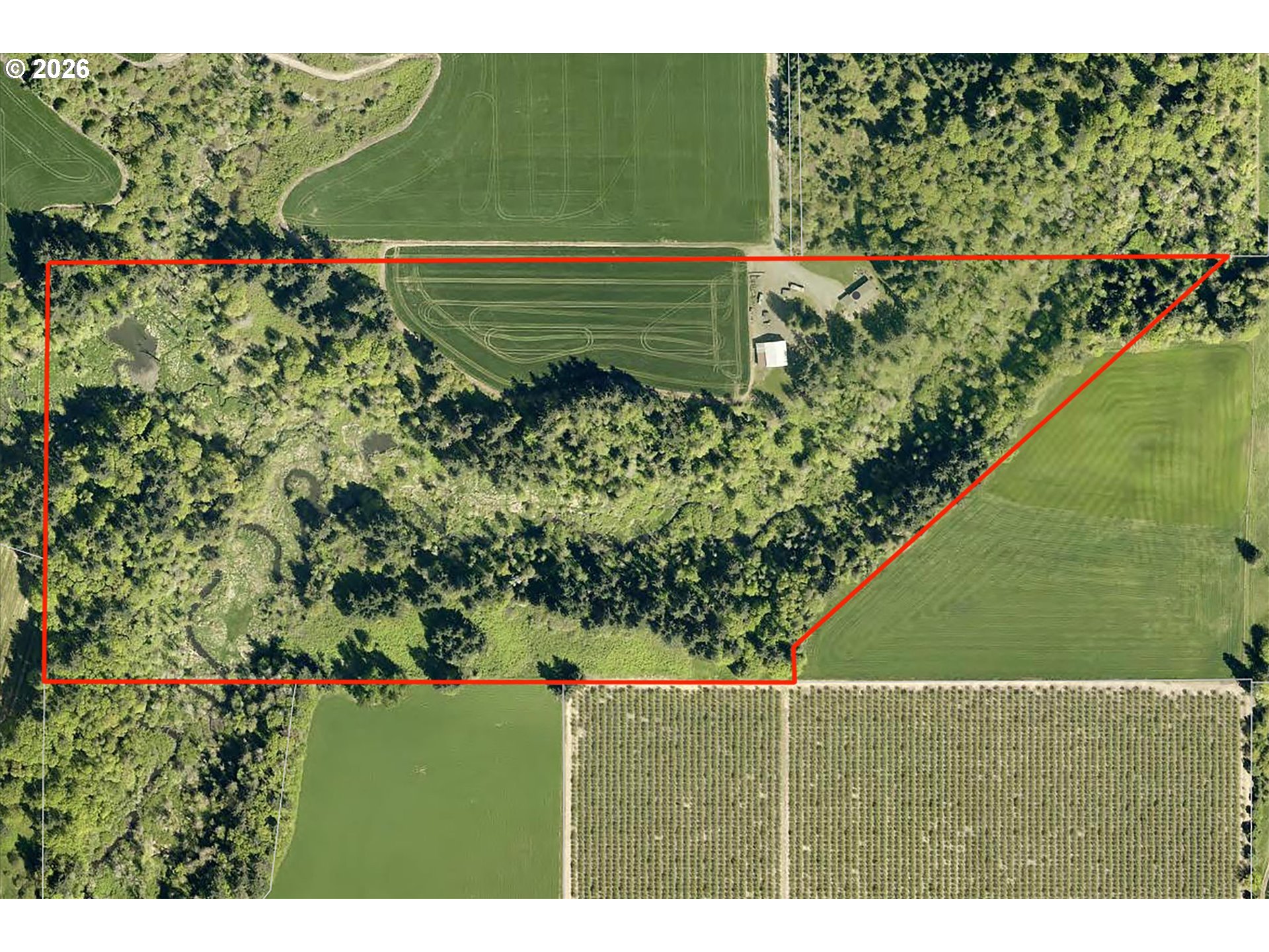 12834 Ehlen Rd Property Photo 3
