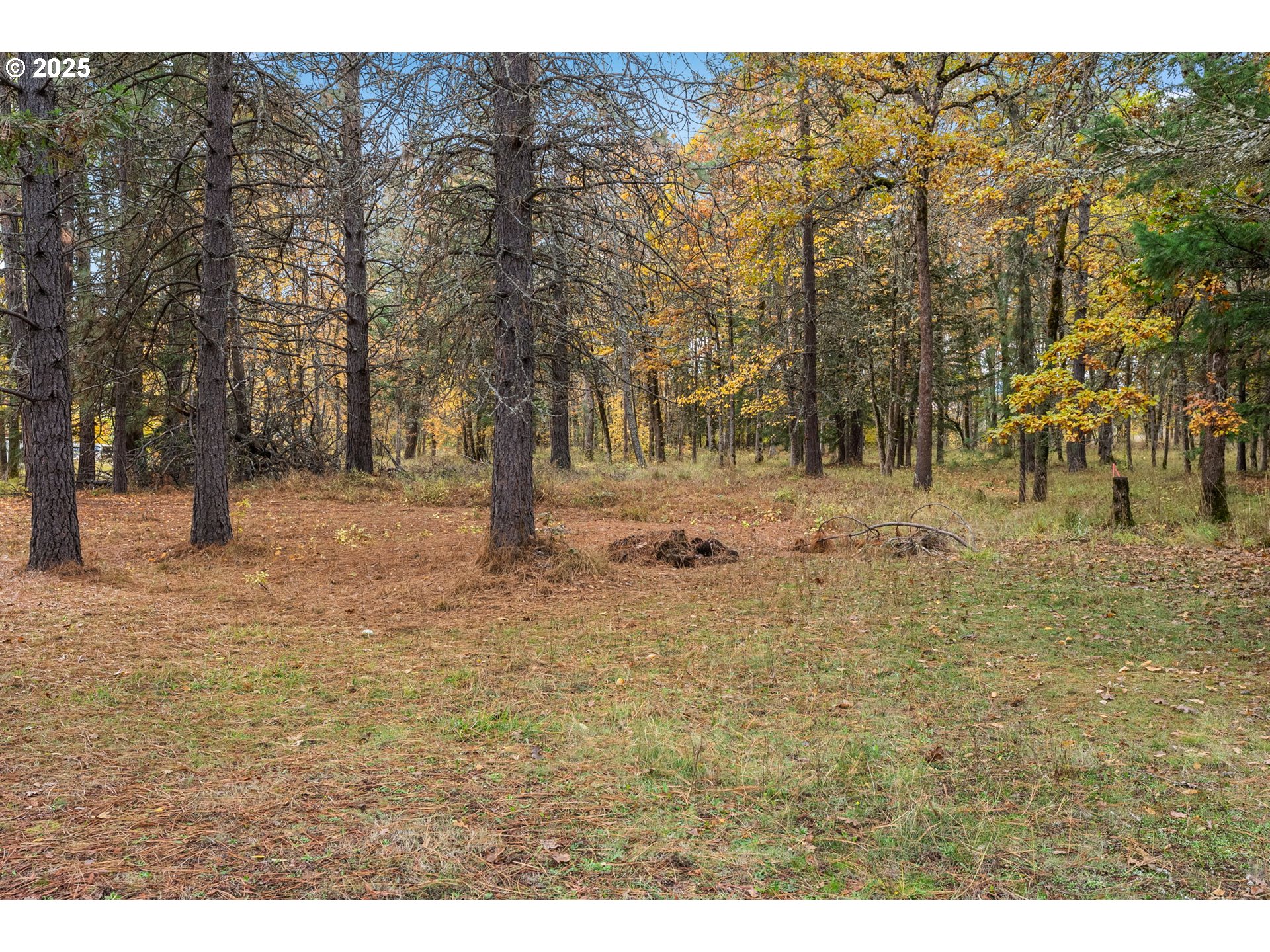 1412 N Main Ave Property Photo 34