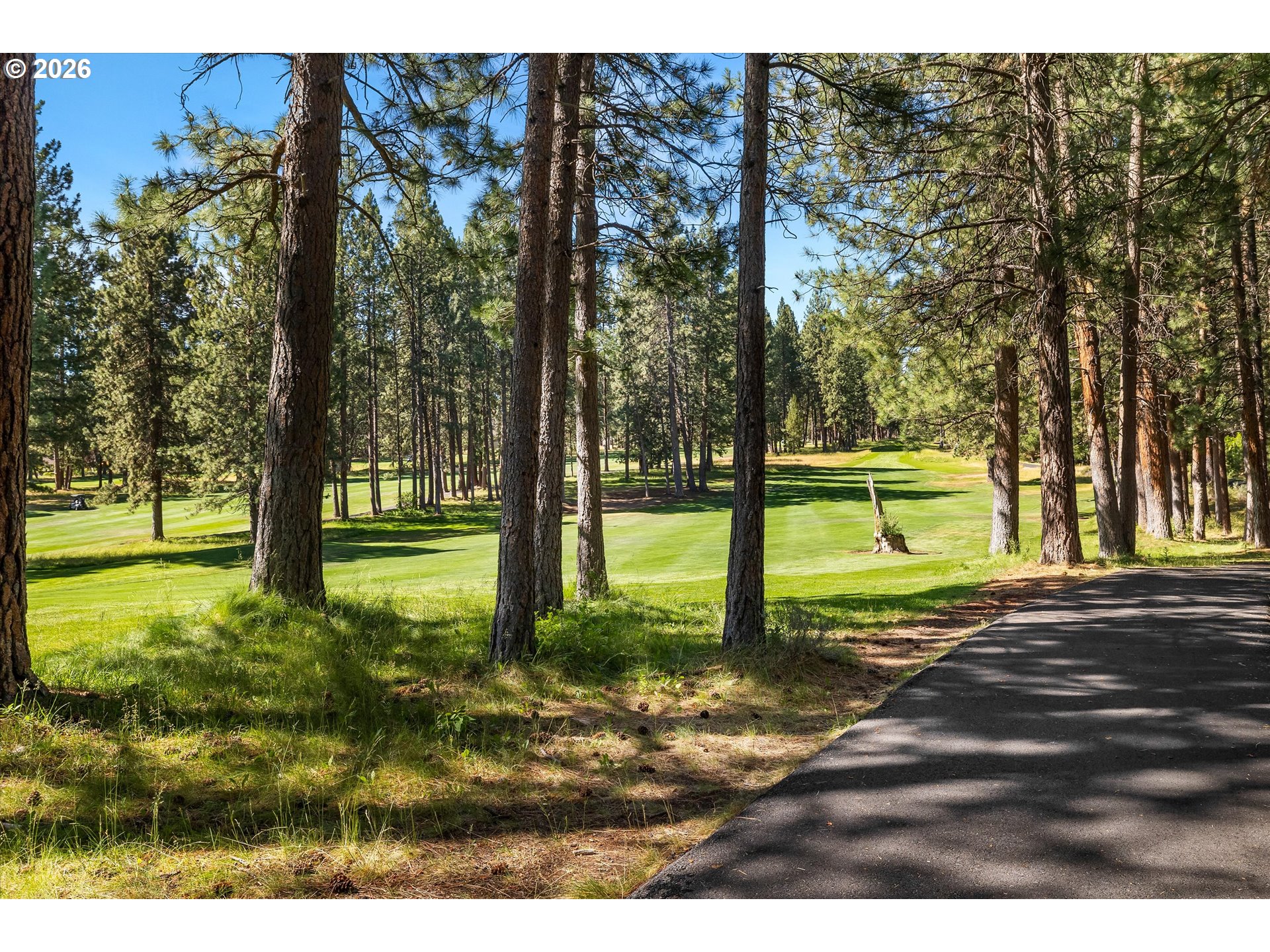60726 Golf Village Loop Property Photo 41
