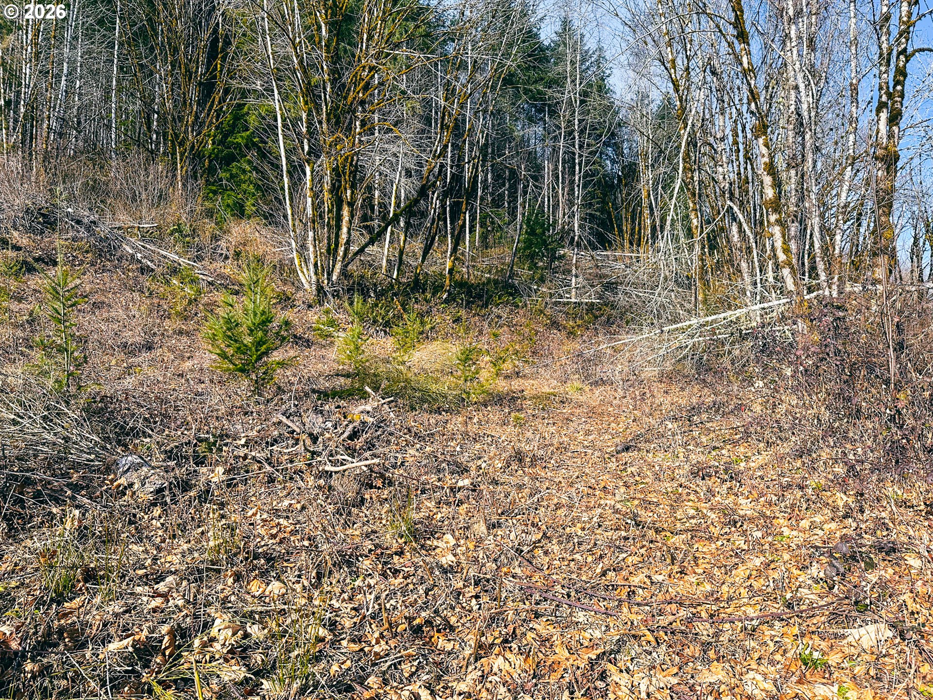 126 Hwy Property Photo 12