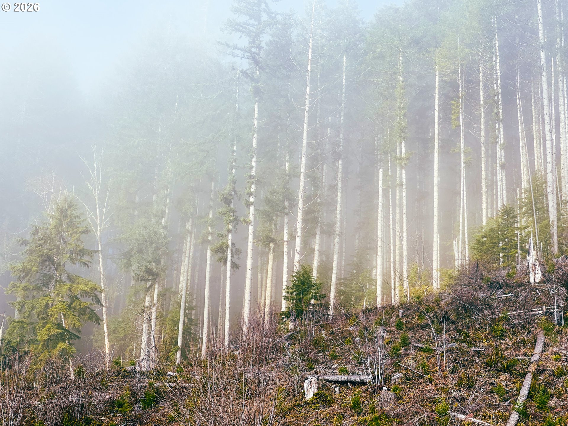 126 Hwy Property Photo 21