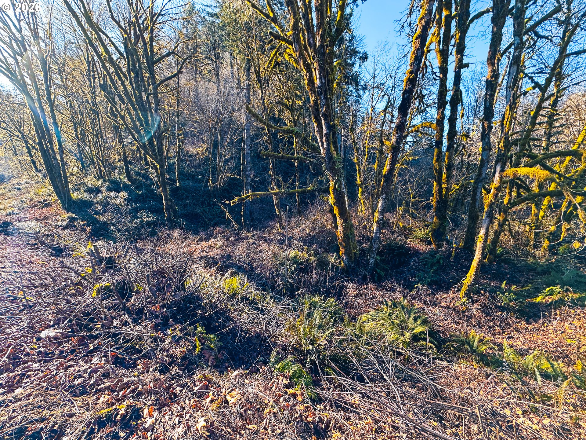 126 Hwy Property Photo 35