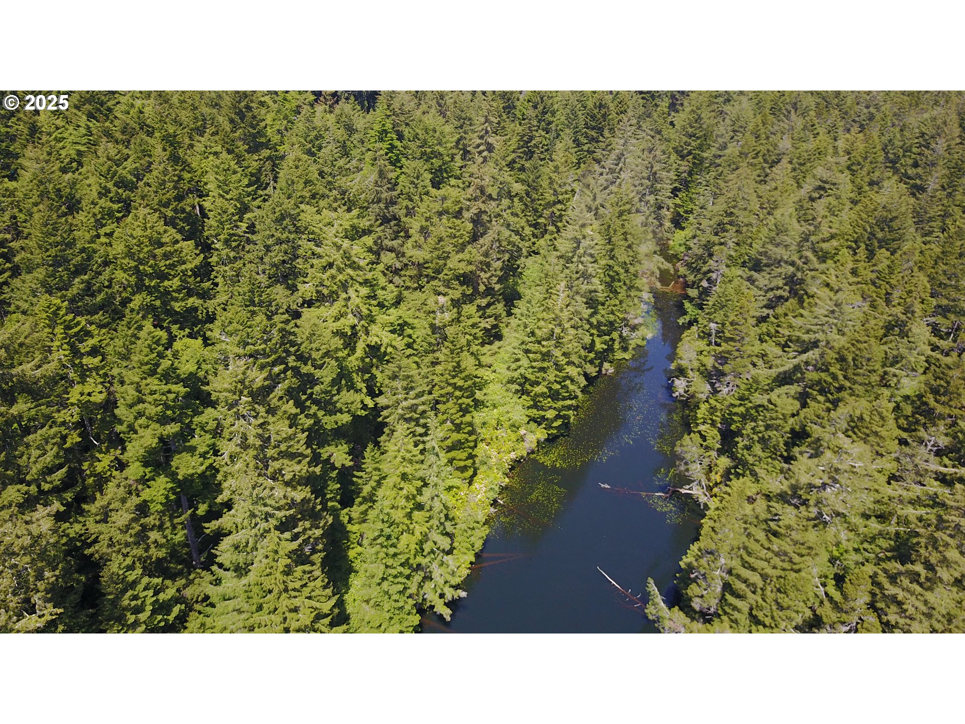 Alder Dr Tl 03300 Dr Property Photo 10