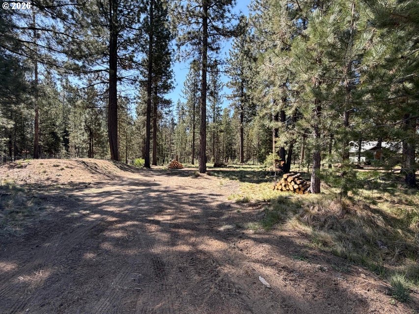 17019 Upland Rd Property Photo 14