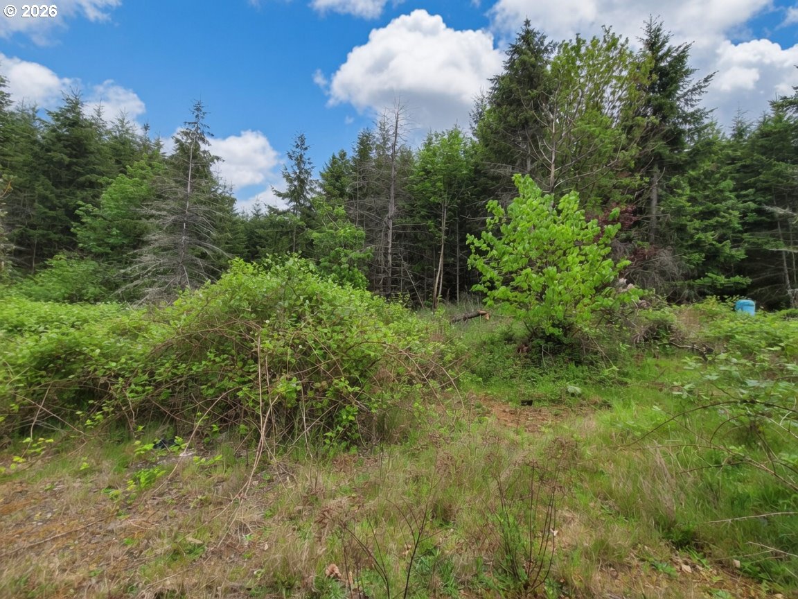 38276 Se Michaels Rd Property Photo 8