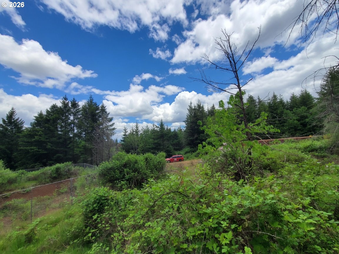 38276 Se Michaels Rd Property Photo 10