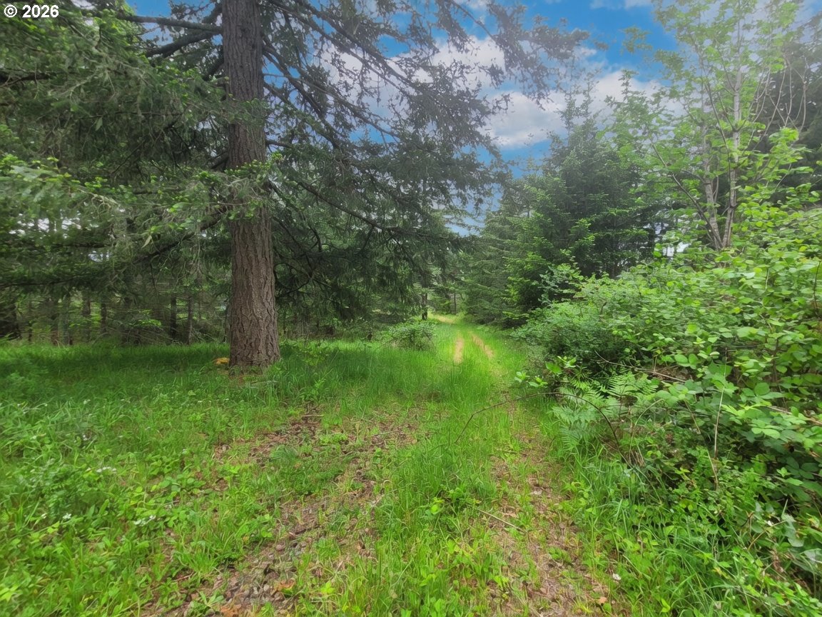 38276 Se Michaels Rd Property Photo 12