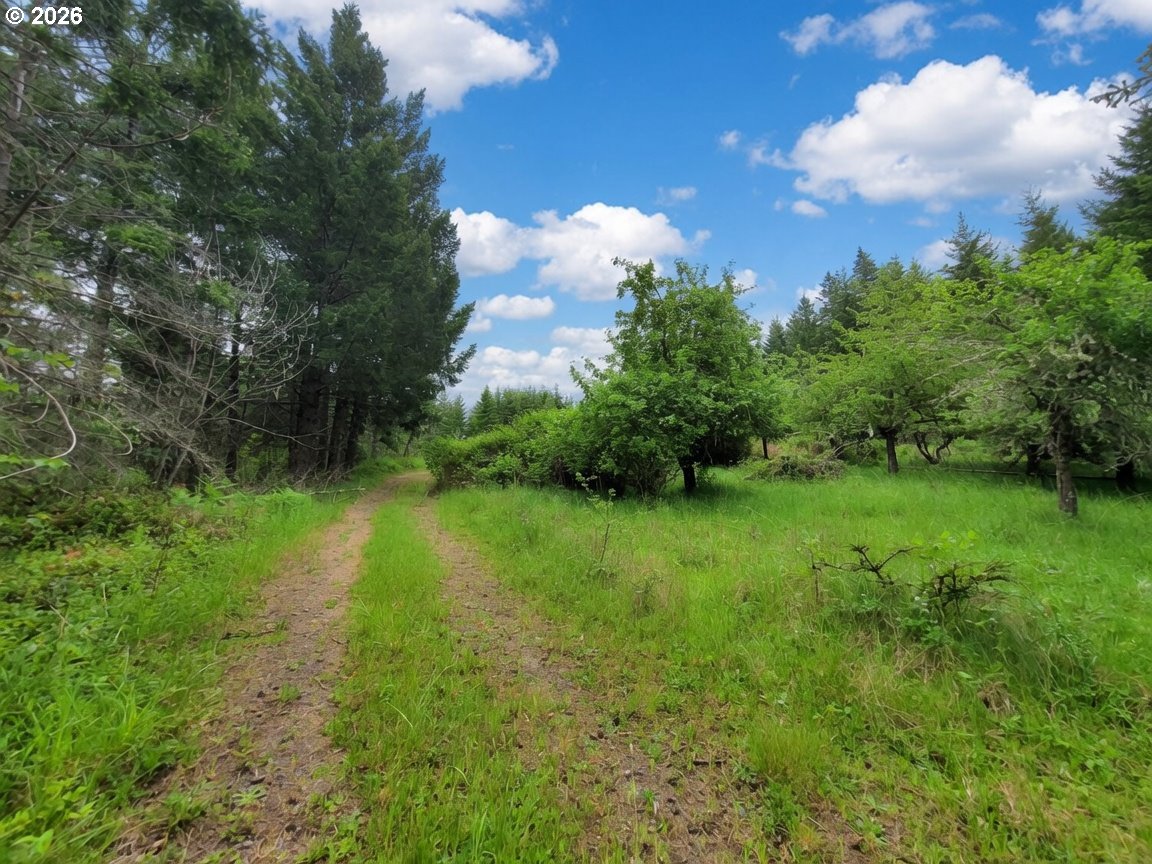 38276 Se Michaels Rd Property Photo 13