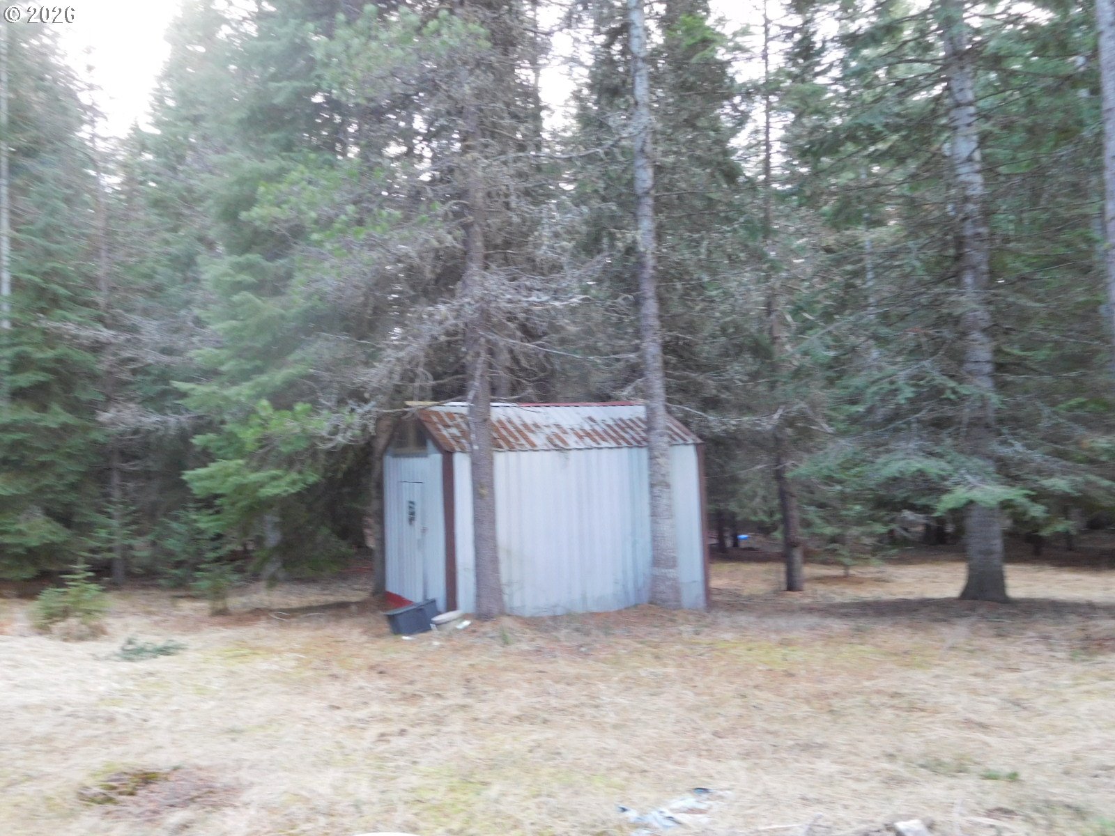 78228 Snowshoe Ln Property Photo 5