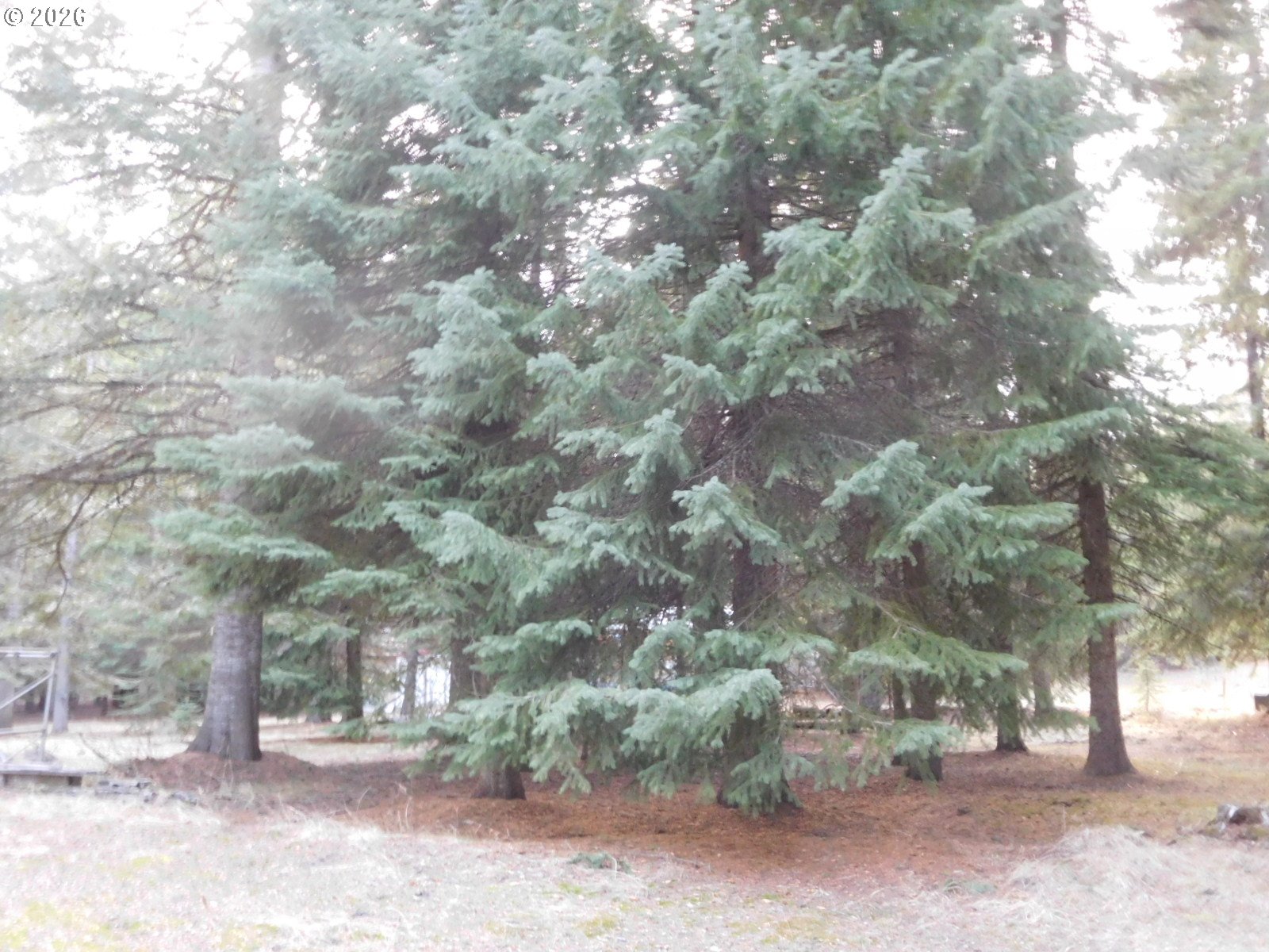 78228 Snowshoe Ln Property Photo 7