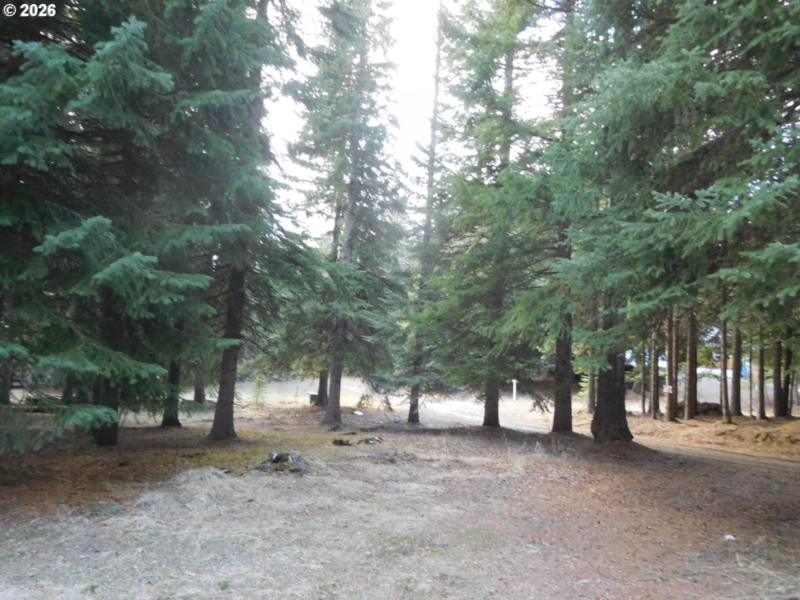 78228 Snowshoe Ln Property Photo 8