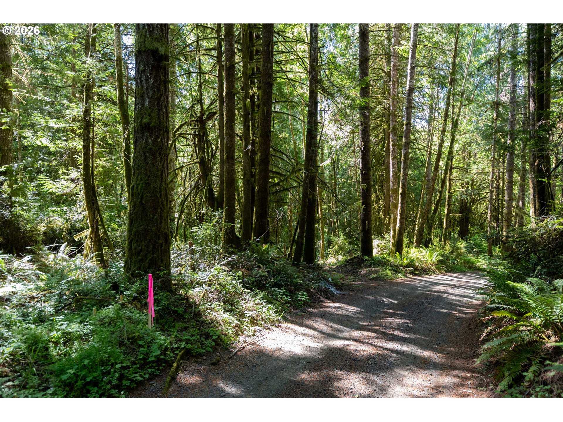 1781 E Sunset Hill Rd Property Photo 1