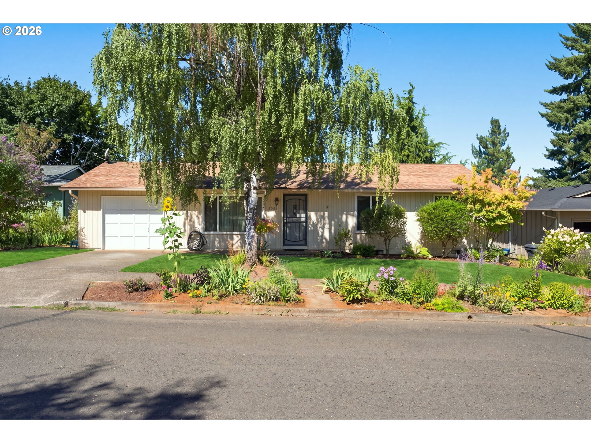 4541 Anneka Loop Property Photo 1