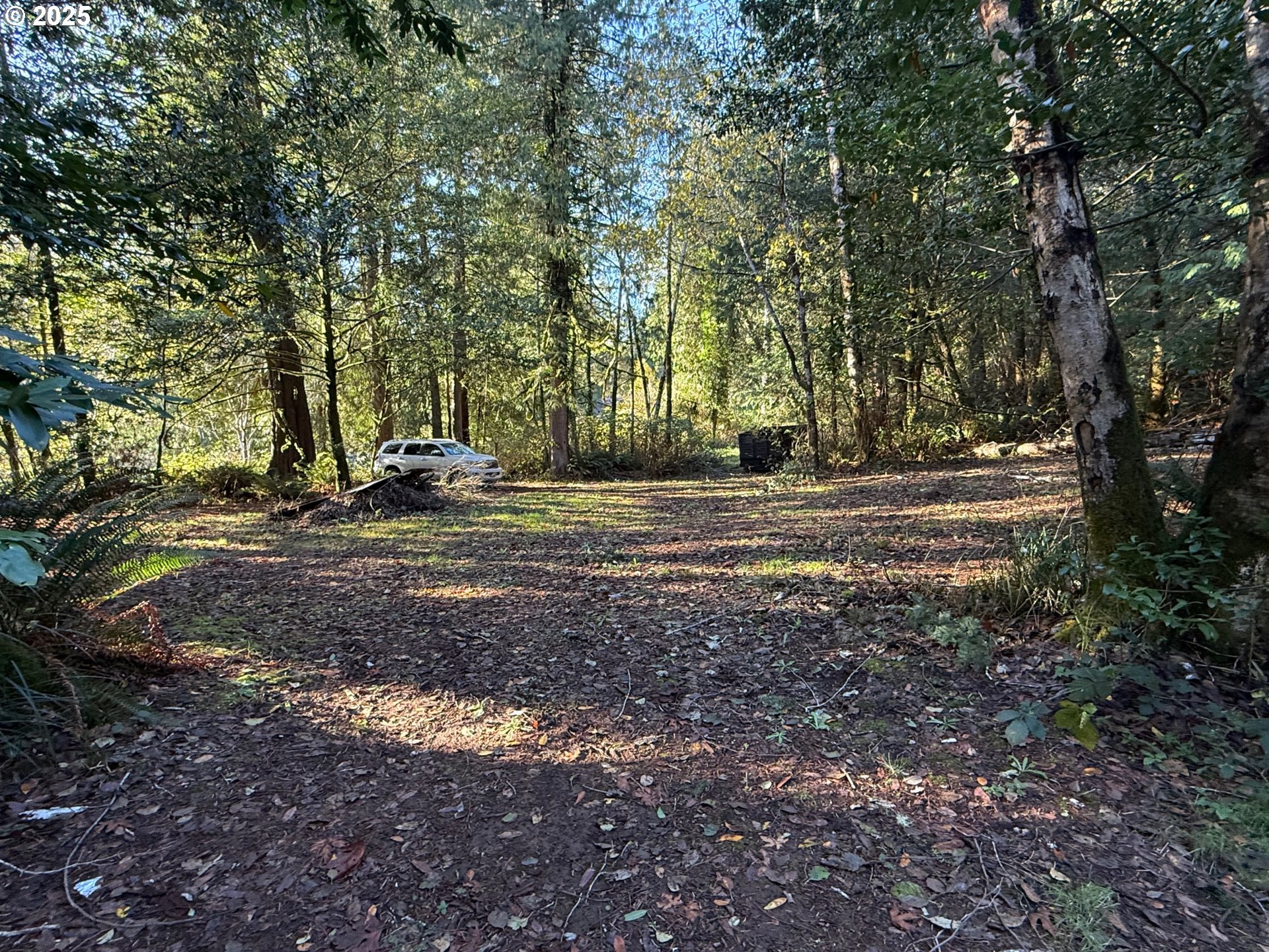 TIERNAN RD 100