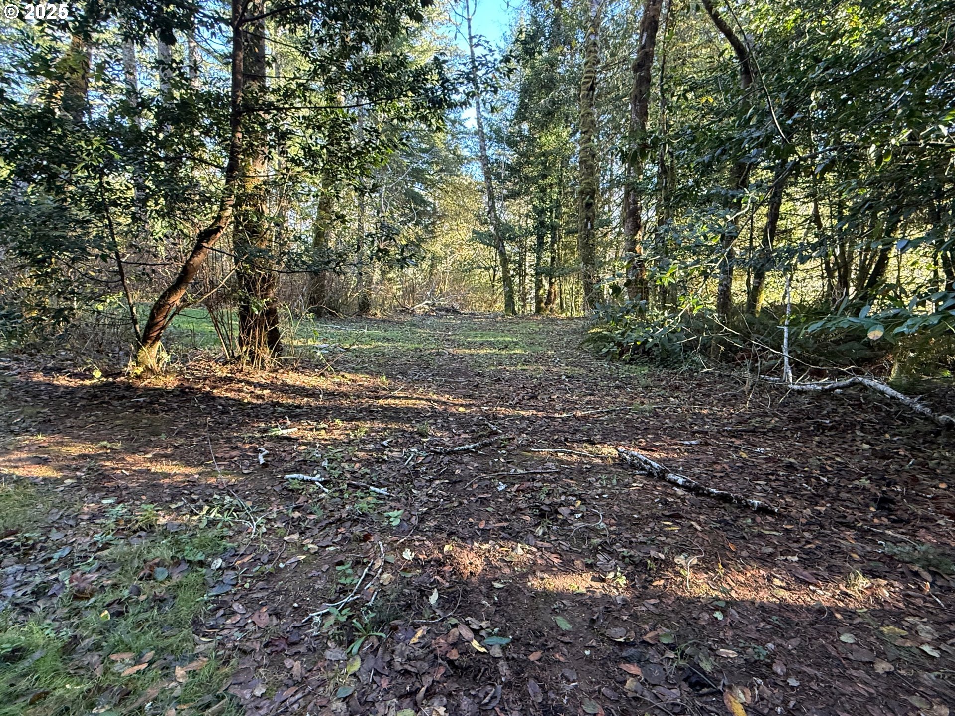 Tiernan Rd 100 Property Photo 3