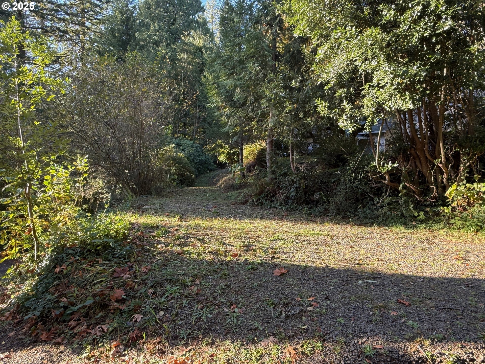 Tiernan Rd 100 Property Photo 9