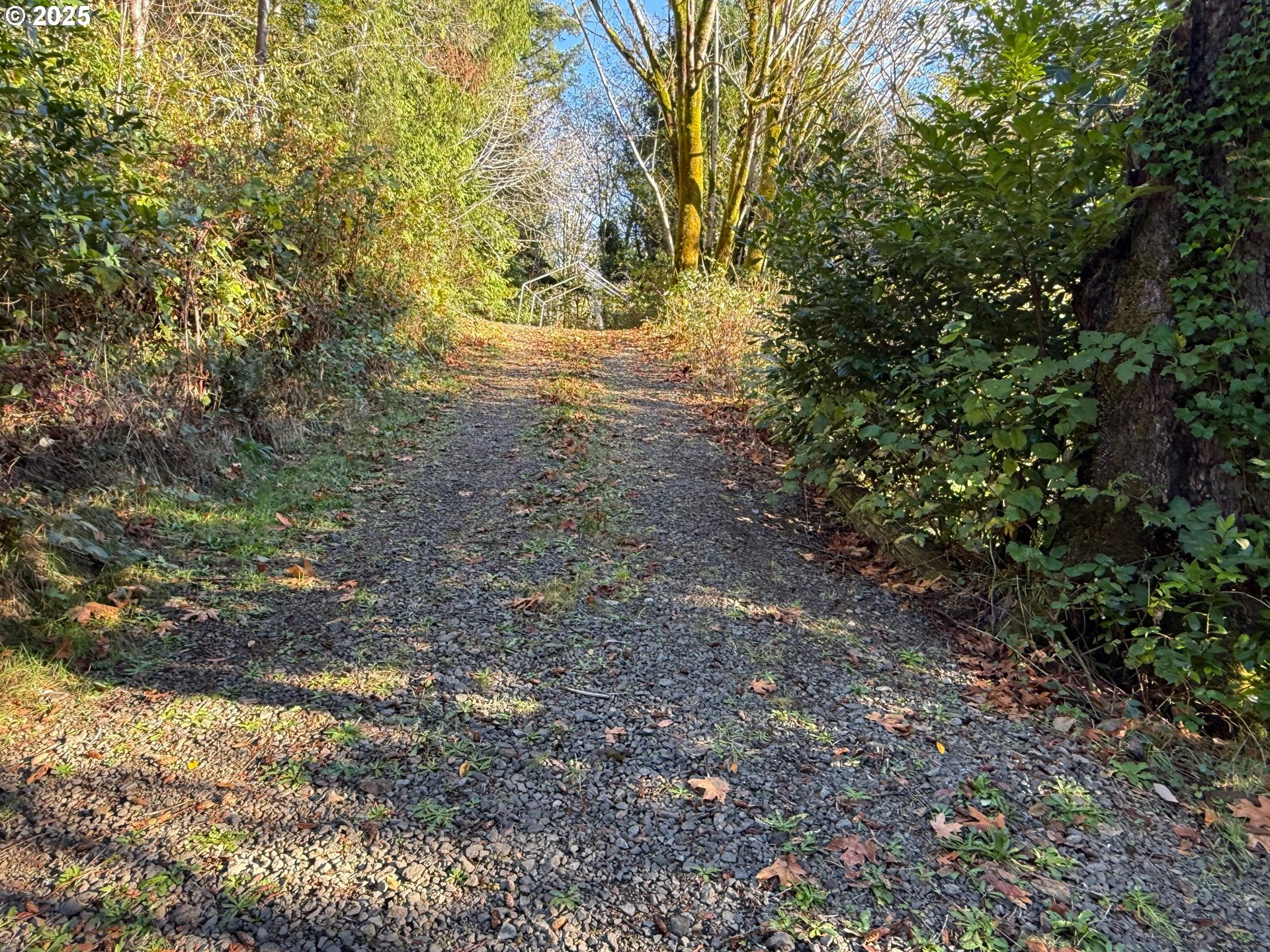 Tiernan Rd 100 Property Photo 10