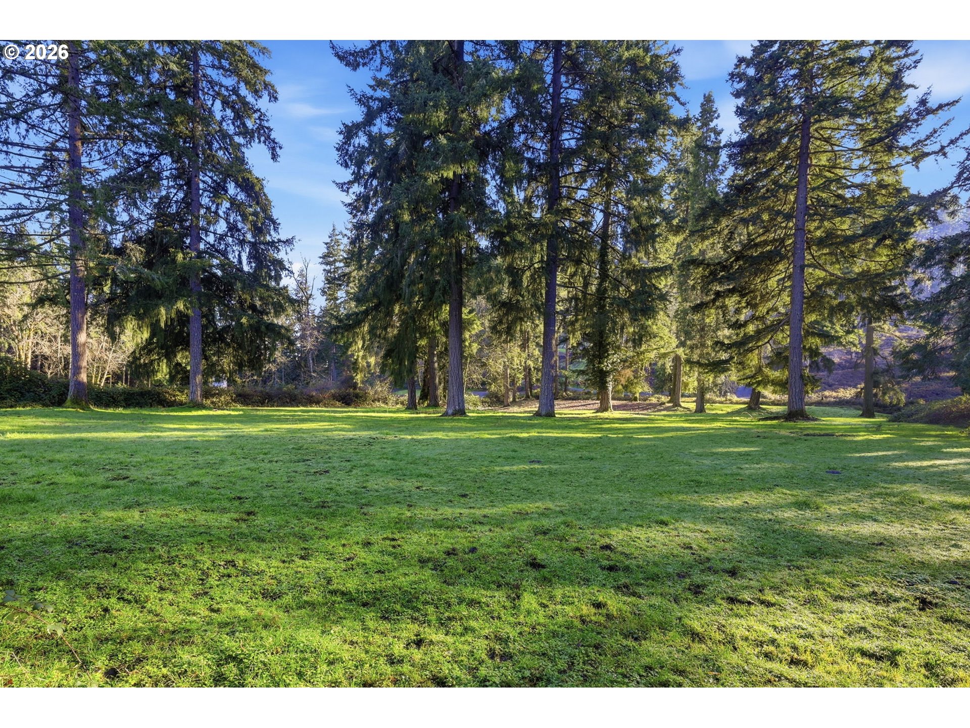 38961 Place Rd Property Photo 4