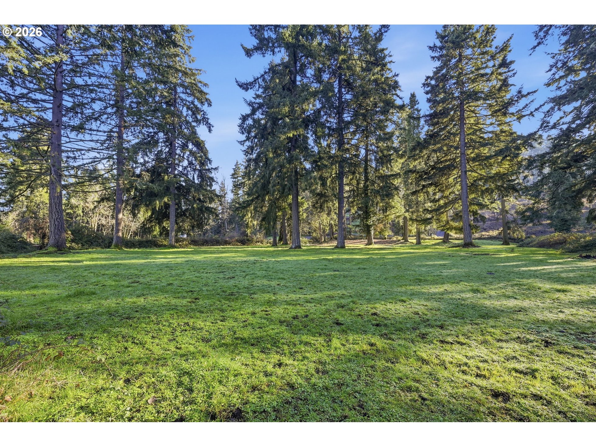 38961 Place Rd Property Photo 5