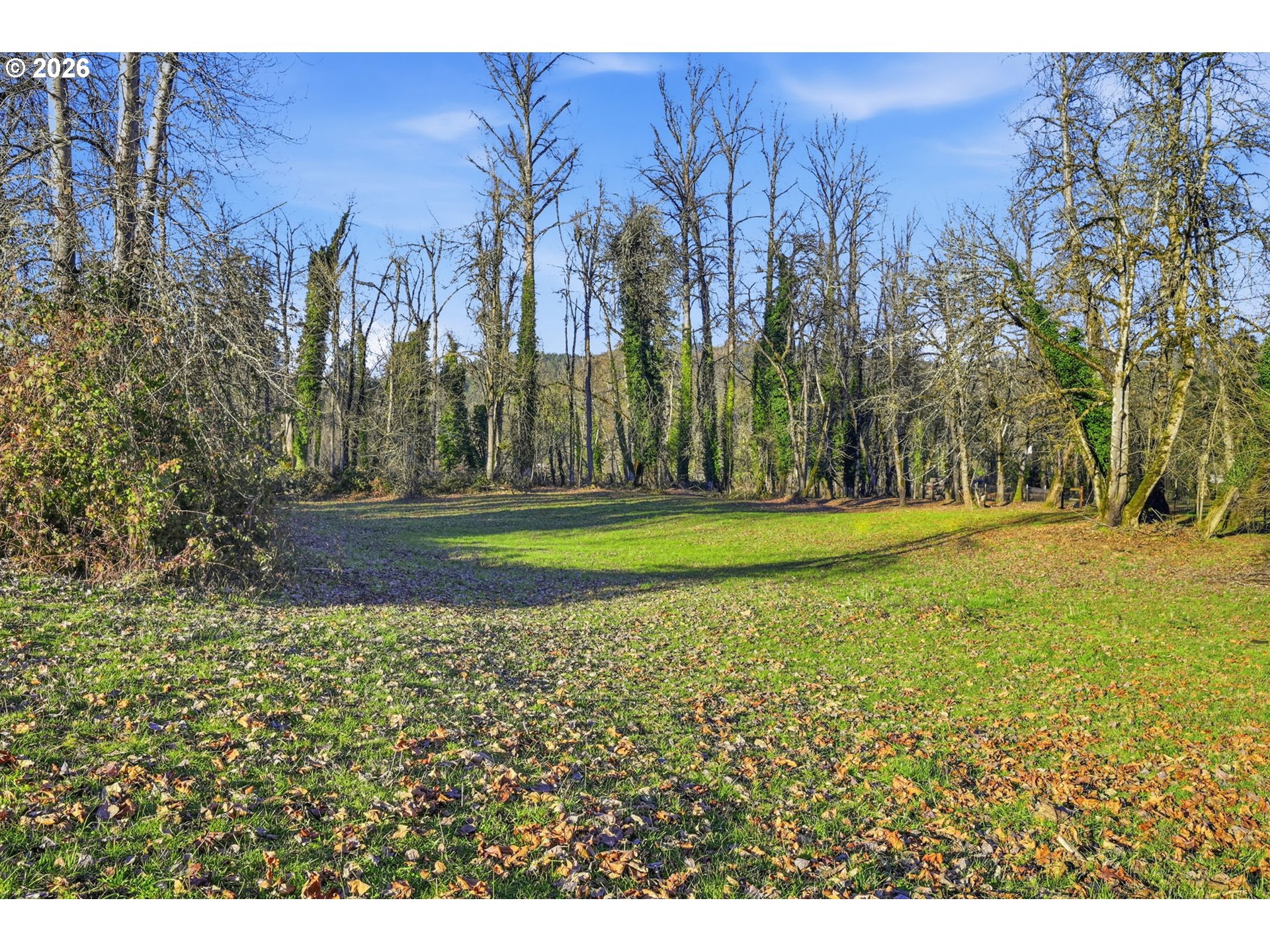 38961 Place Rd Property Photo 16