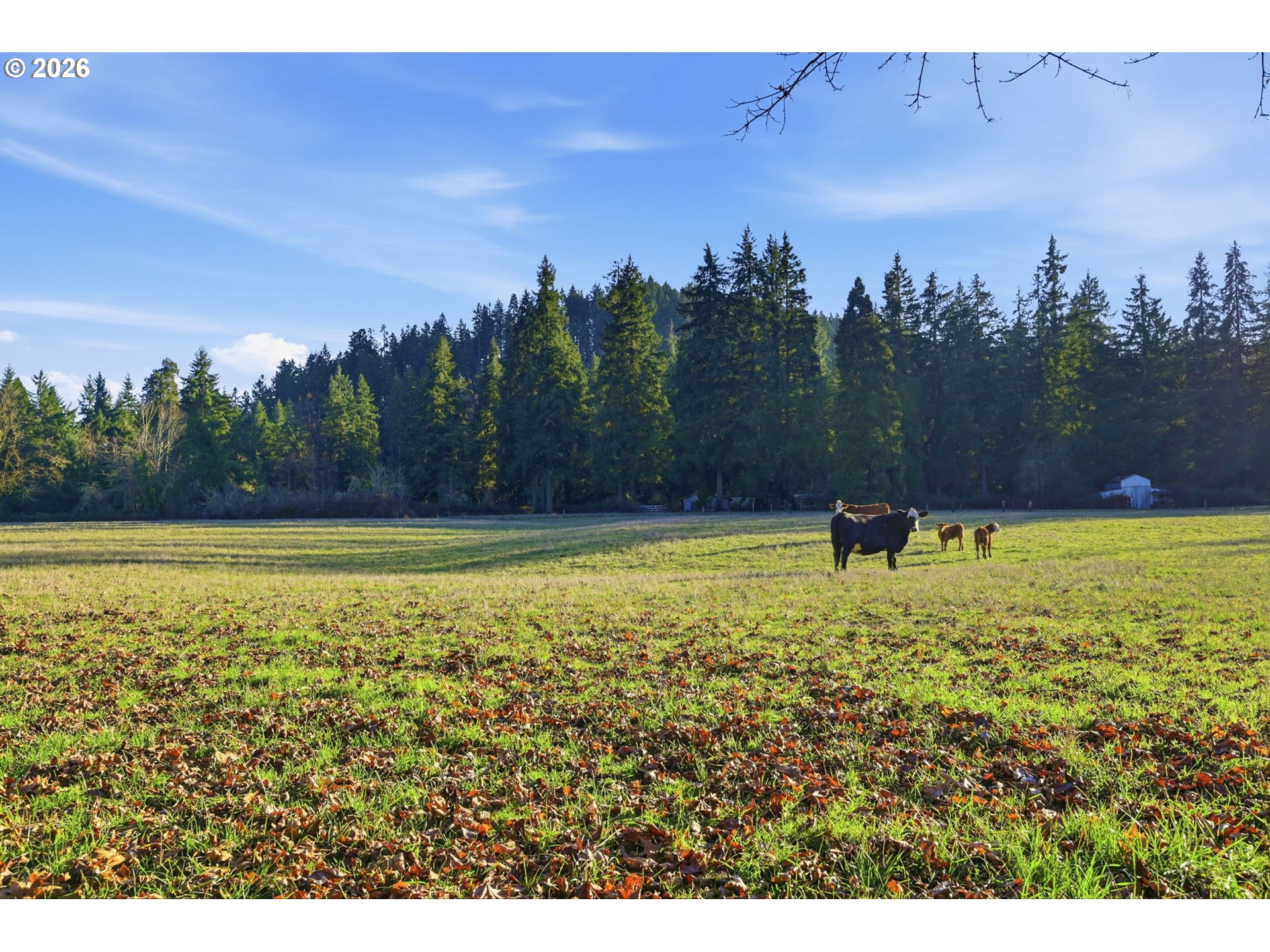 38961 Place Rd Property Photo 18