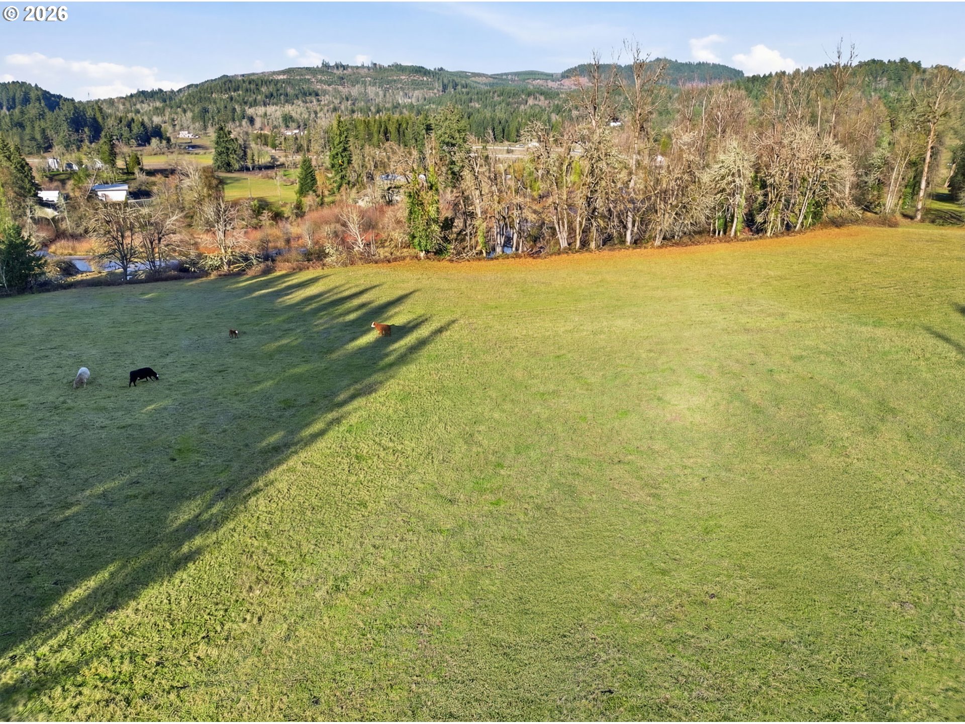 38961 Place Rd Property Photo 22