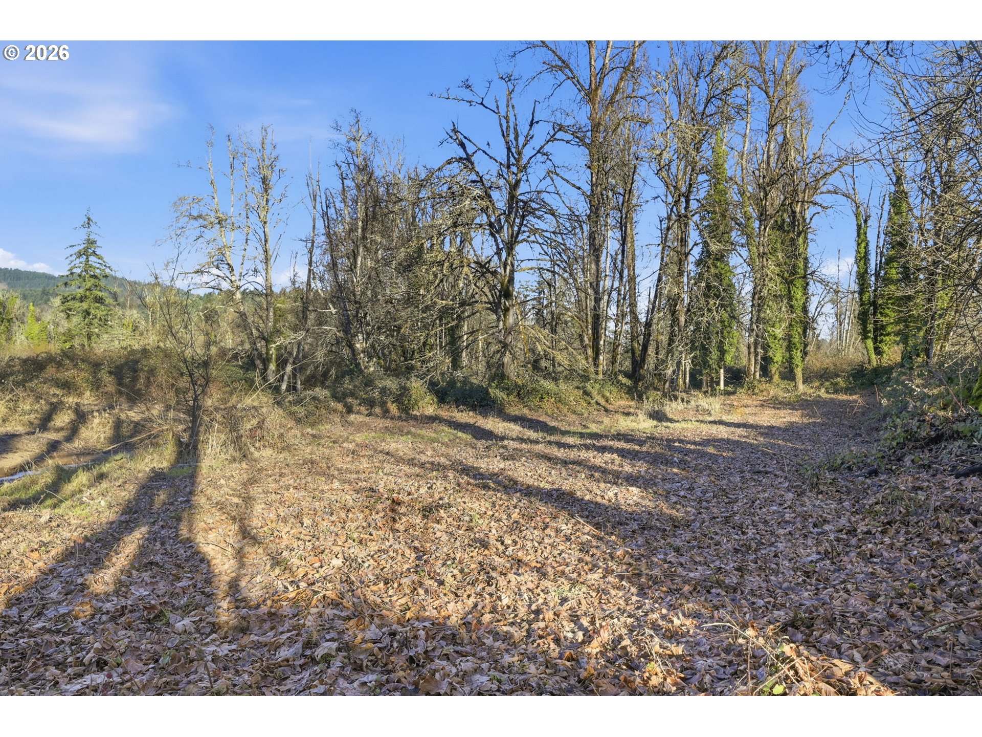 38961 Place Rd Property Photo 23