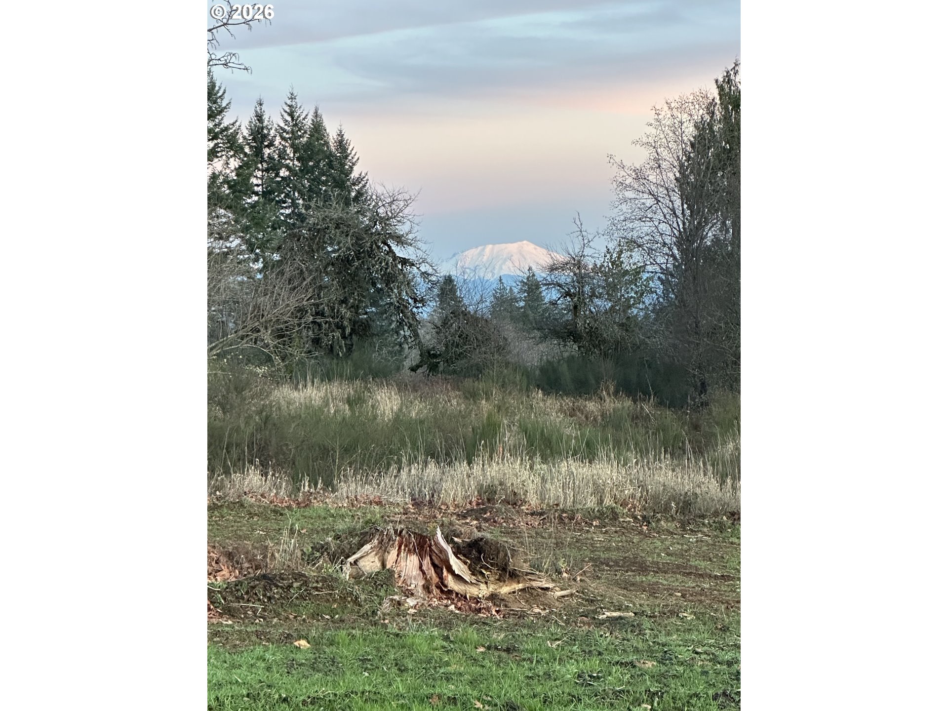 239 Suncrest Dr 2 Property Photo 1