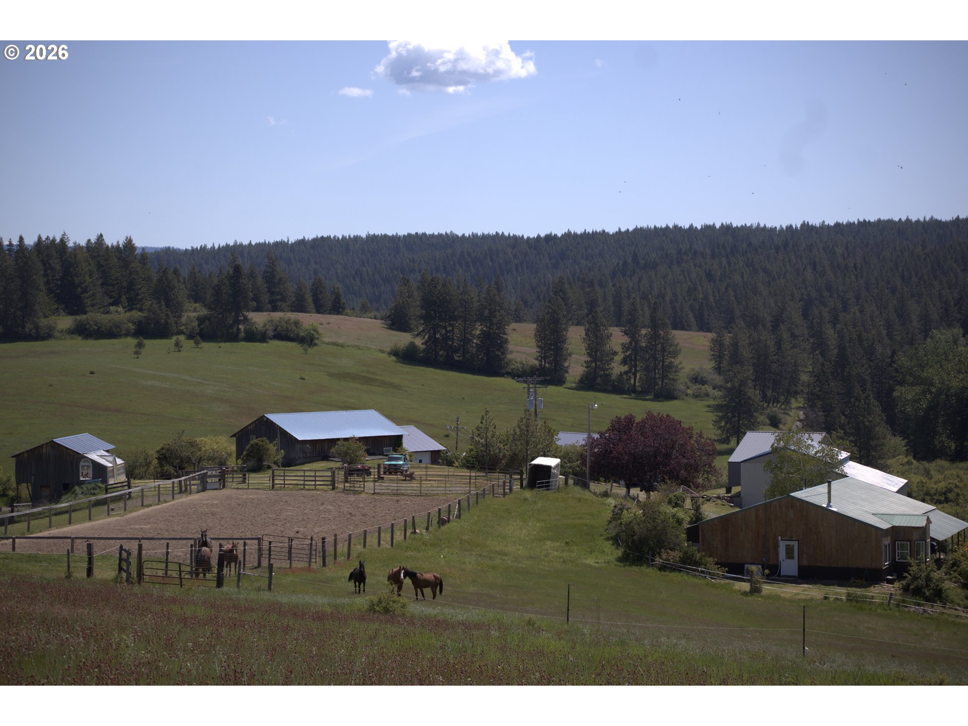 55821 Wildhorse Rd Property Photo 4
