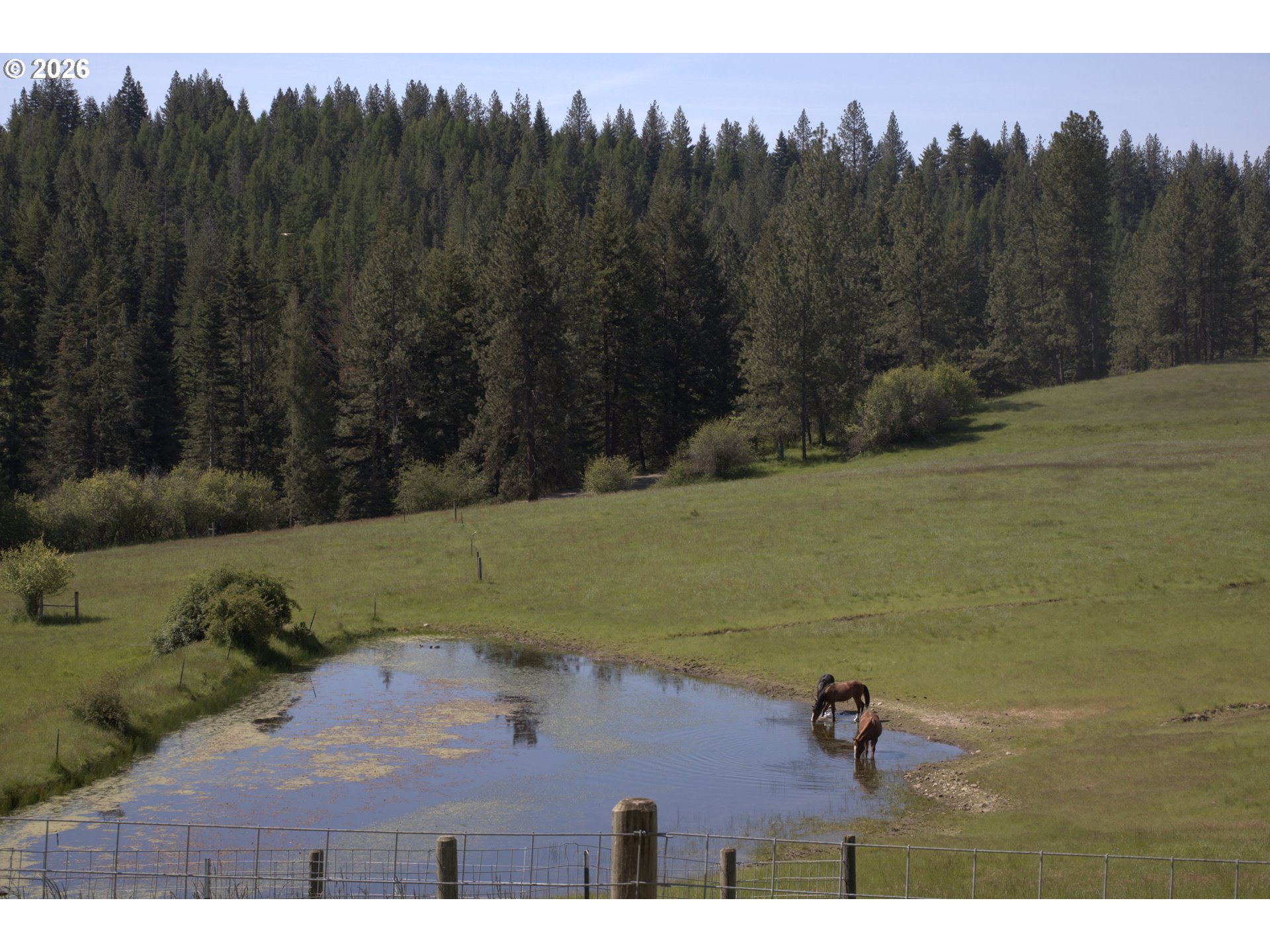 55821 Wildhorse Rd Property Photo 29