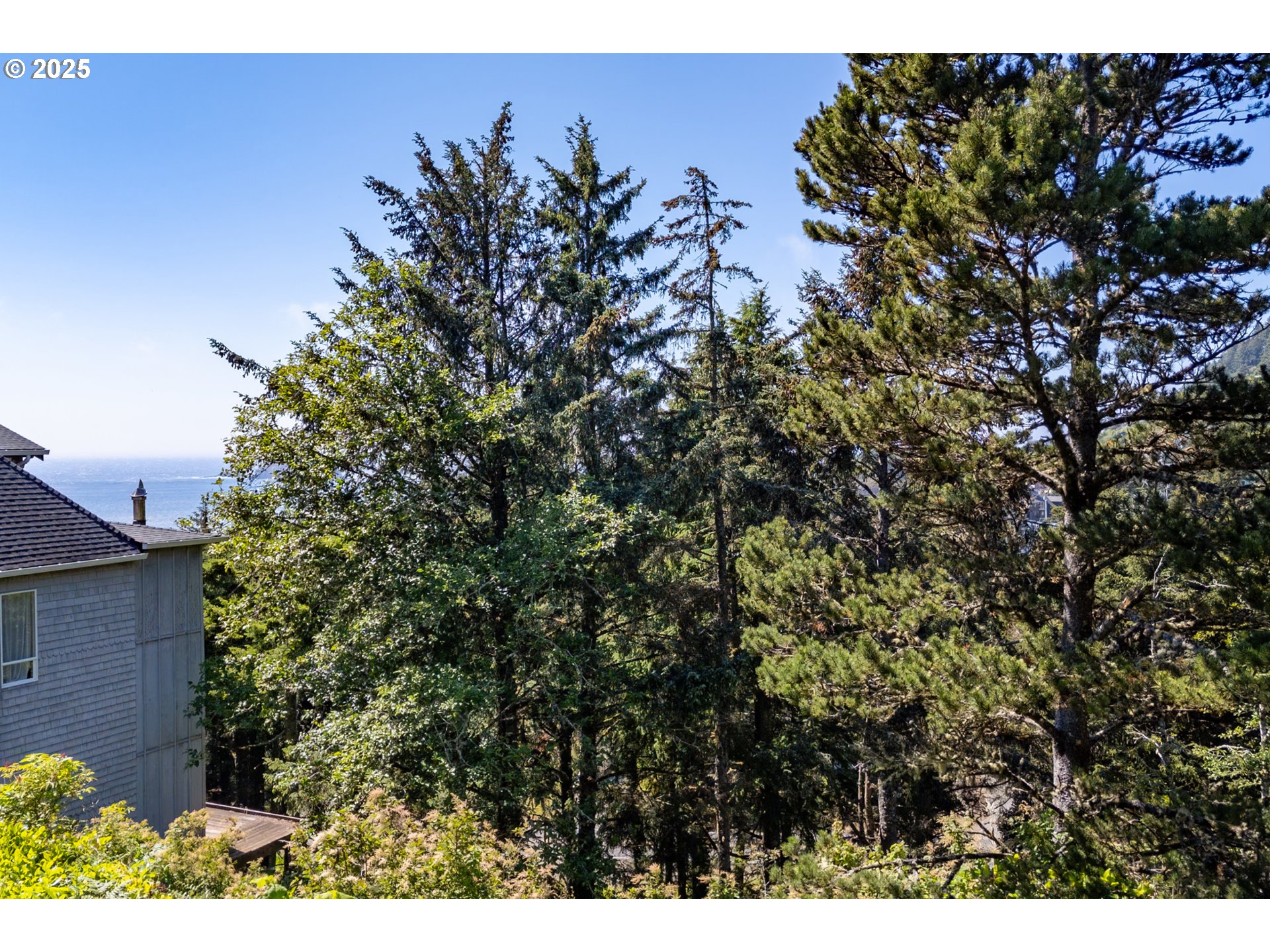 Castle DR TL16500