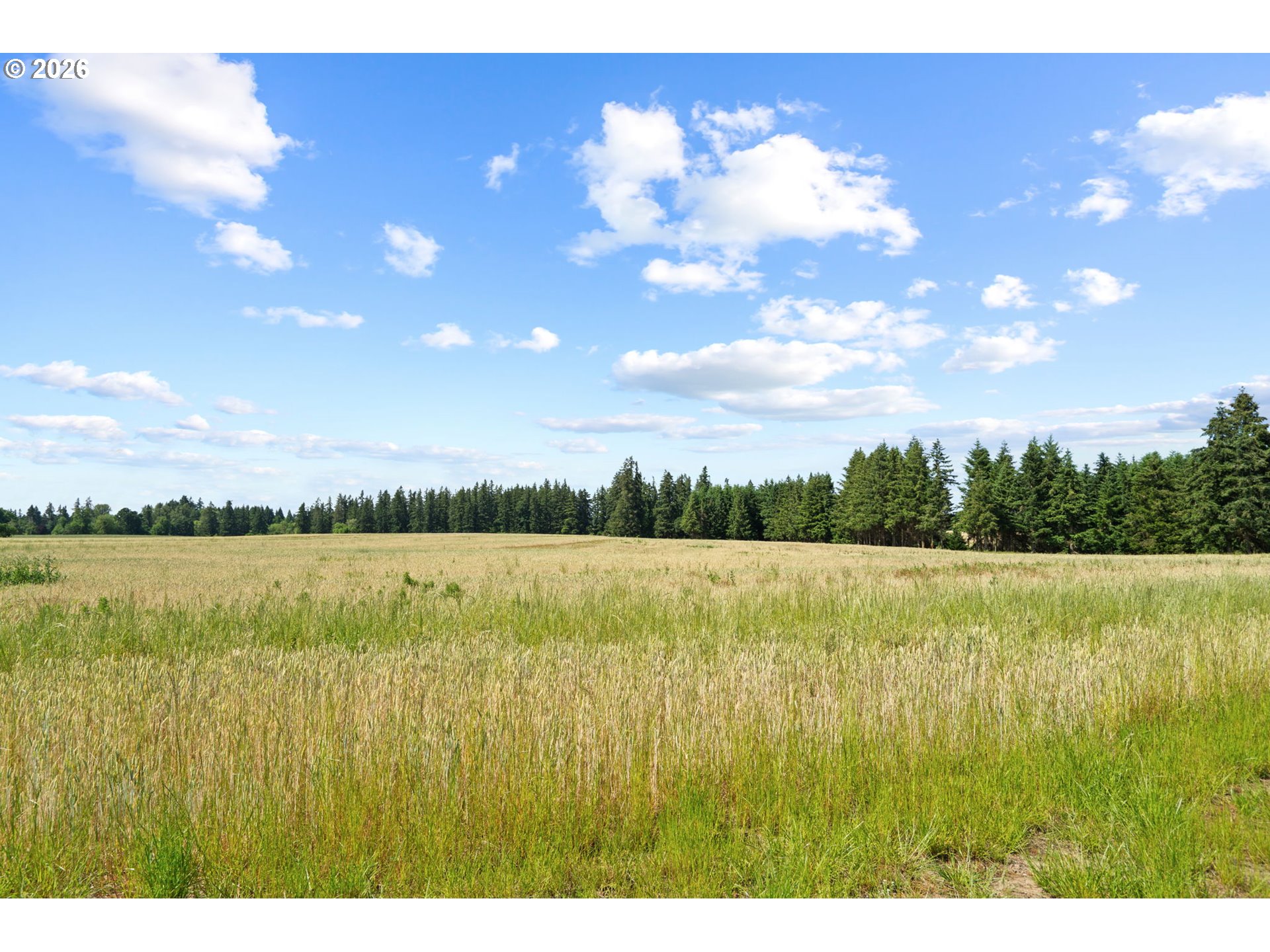 9931 S Highway 211 Property Photo 41