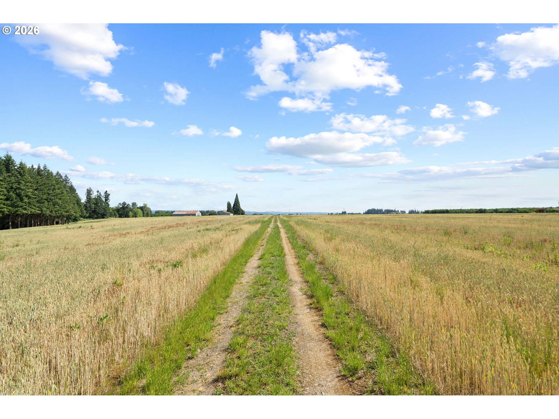 9931 S Highway 211 Property Photo 42