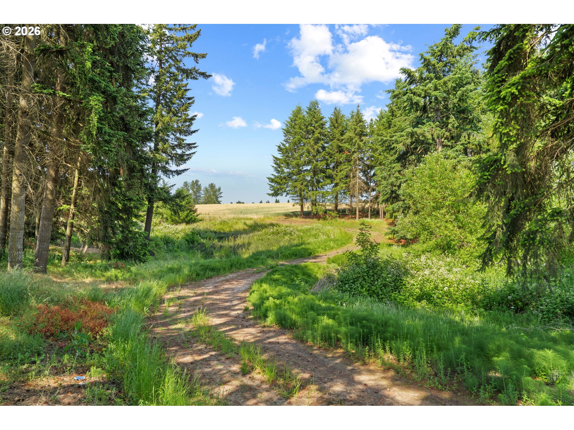 9931 S Highway 211 Property Photo 43