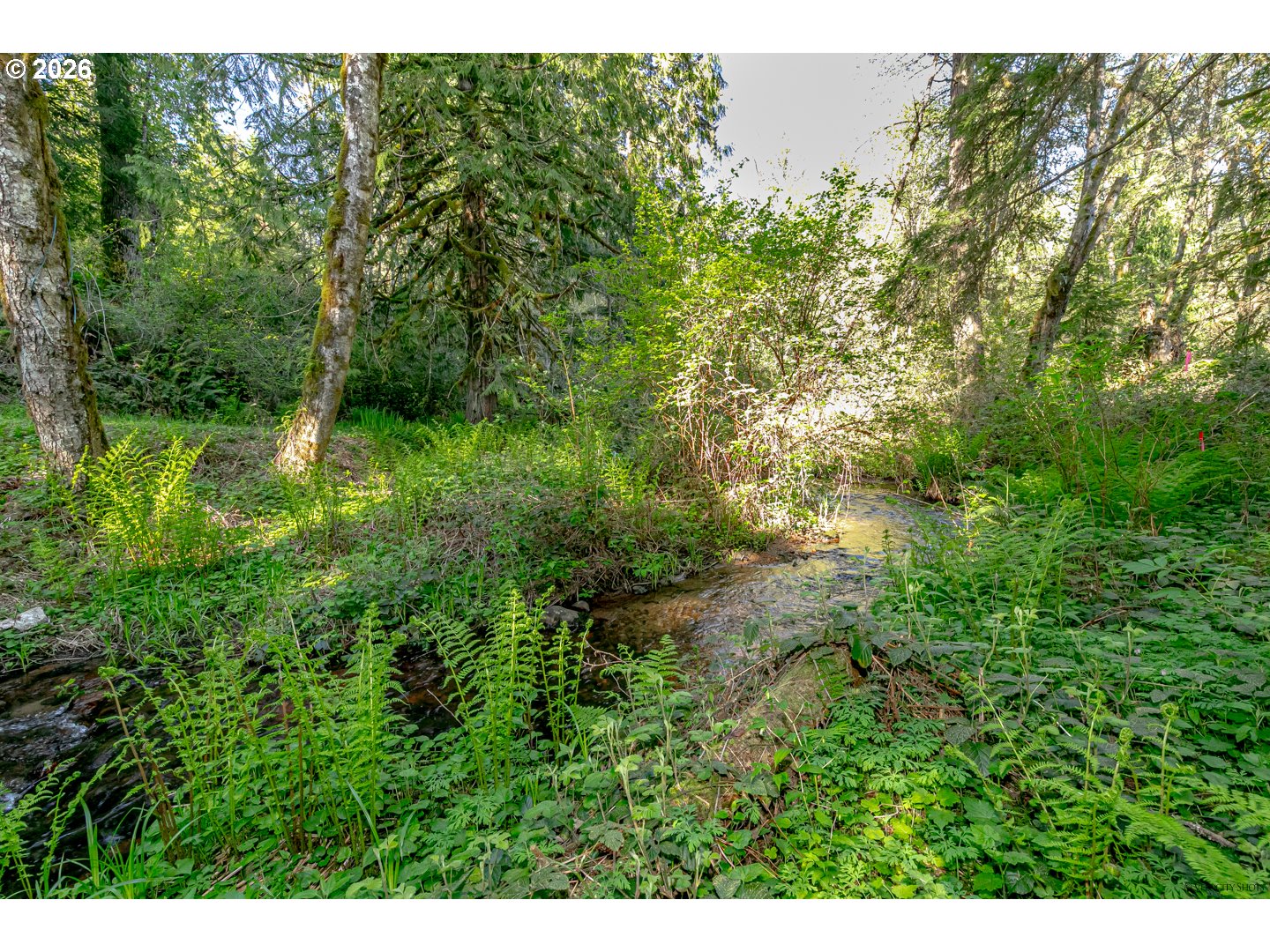 42440 Se Wildcat Mountain Dr Property Photo 43