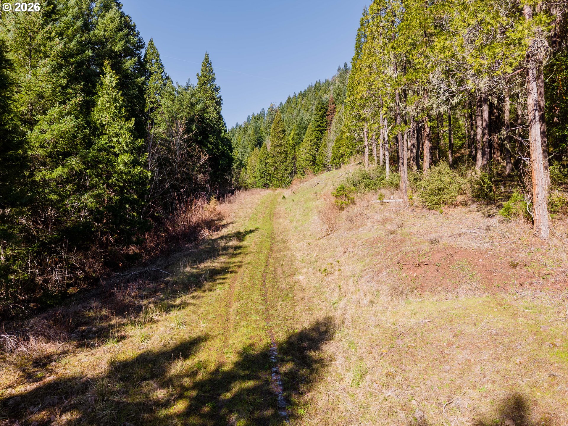 14536 Little River Rd Property Photo 8