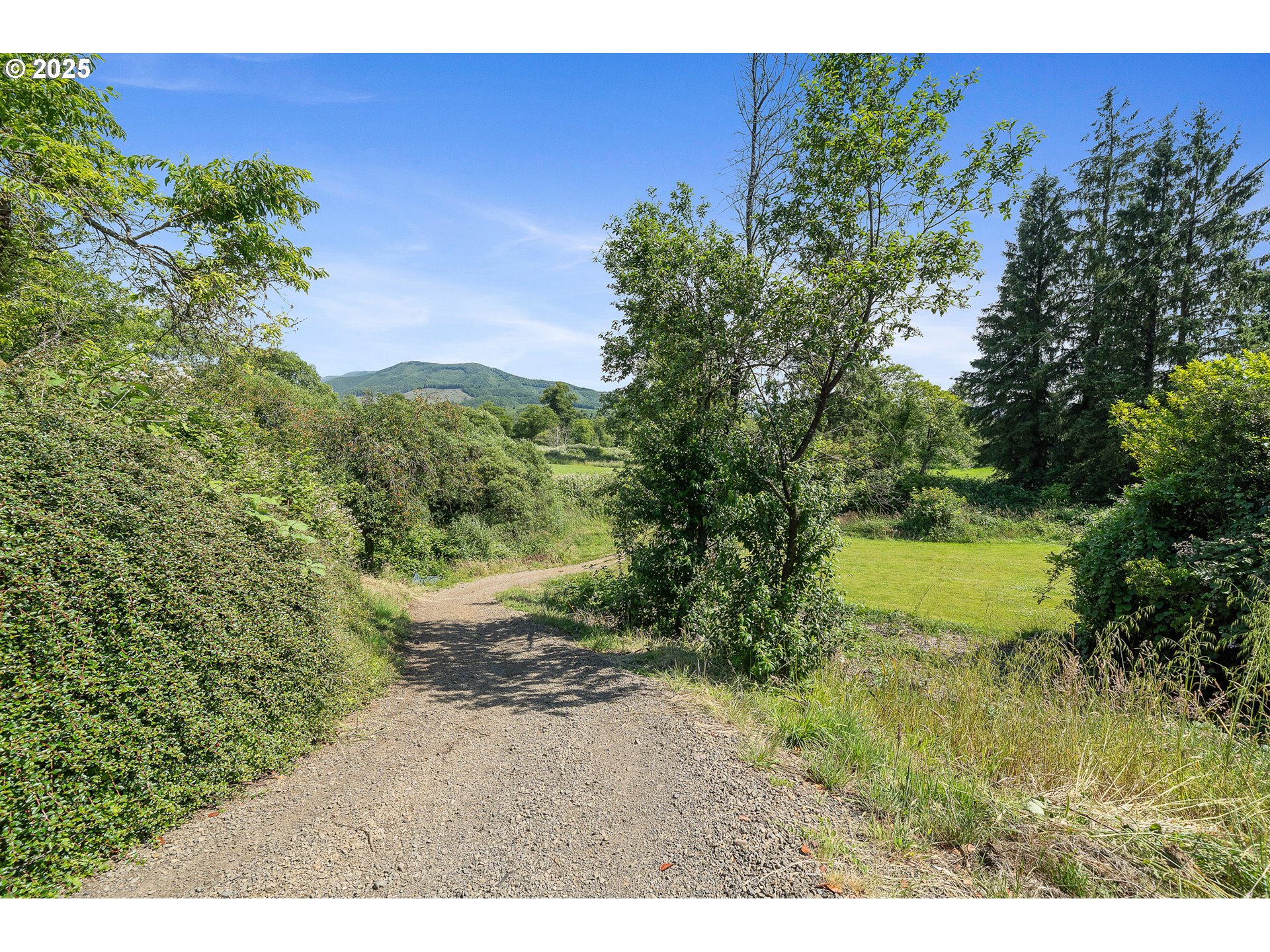 9065 Trask River Rd Property Photo 43