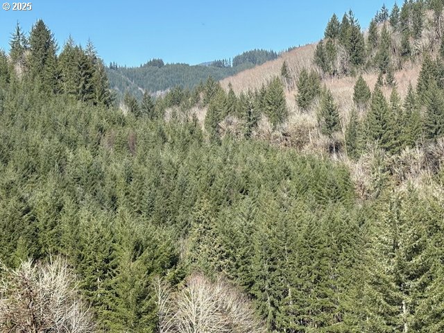 000 Logsden Rd Property Photo 6