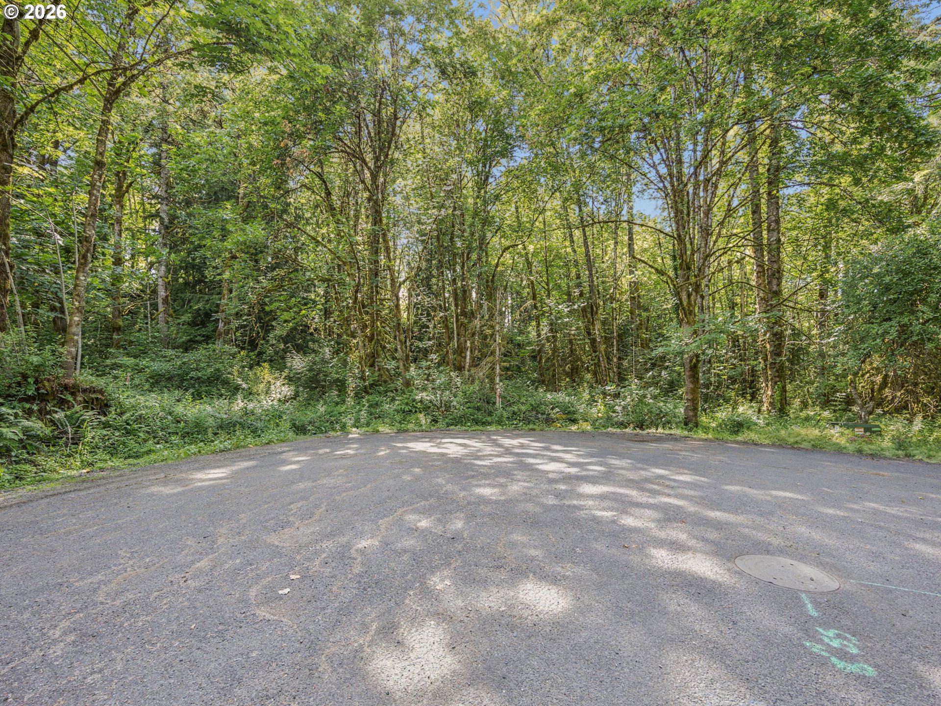 0 E Brightwood Loop Rd Property Photo 2