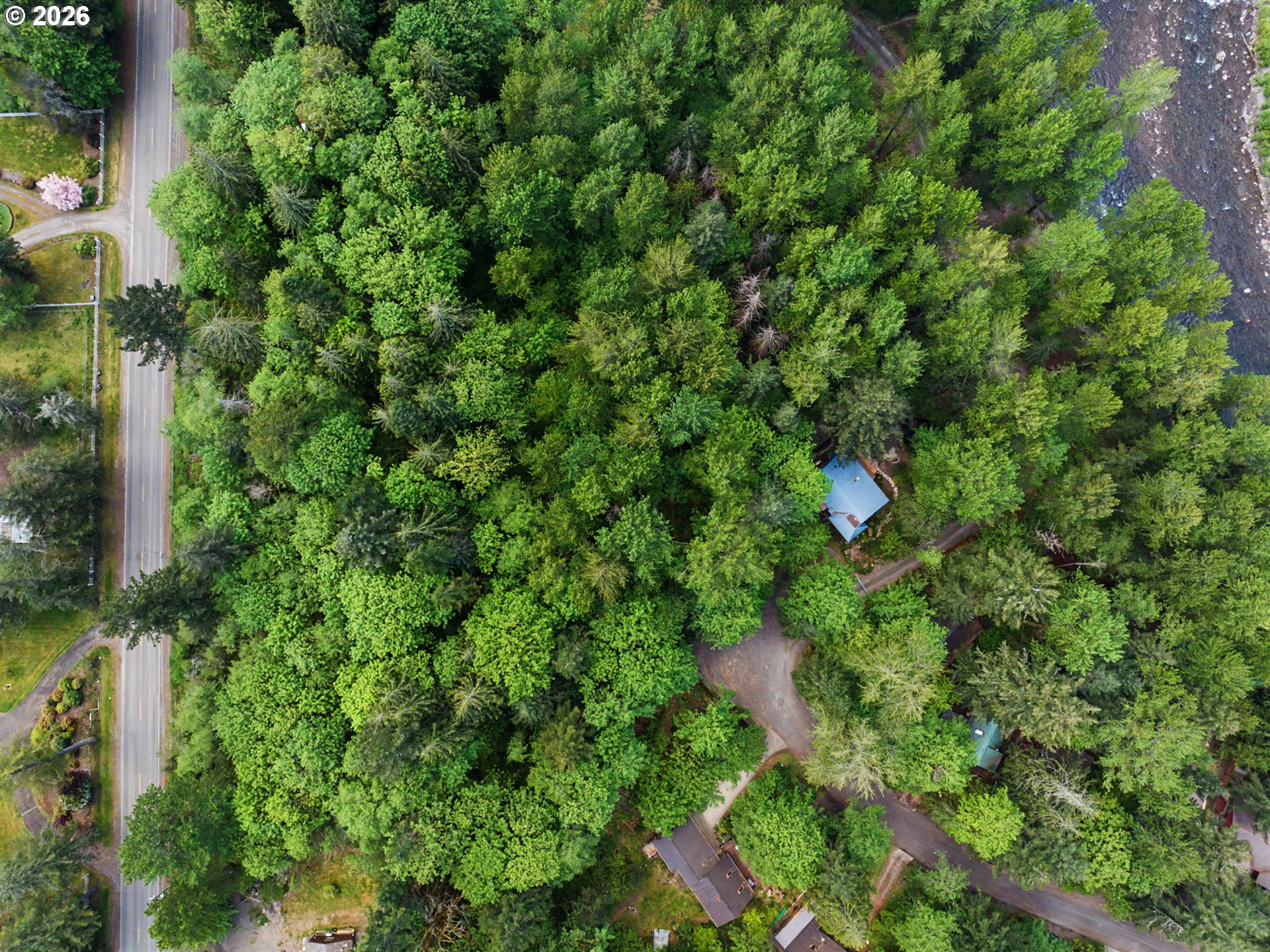 0 E Brightwood Loop Rd Property Photo 5