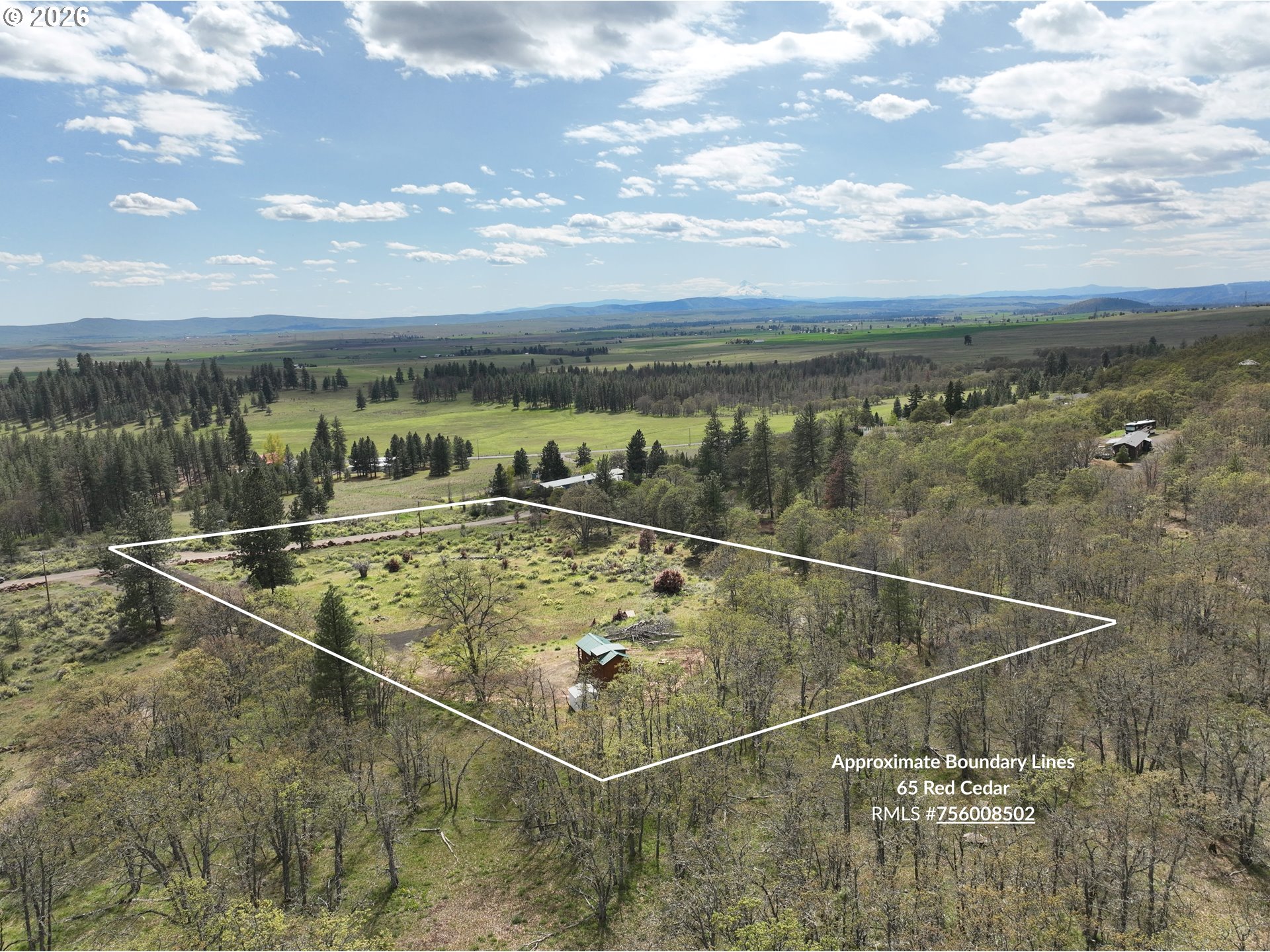 65 Red Cedar Property Photo 2
