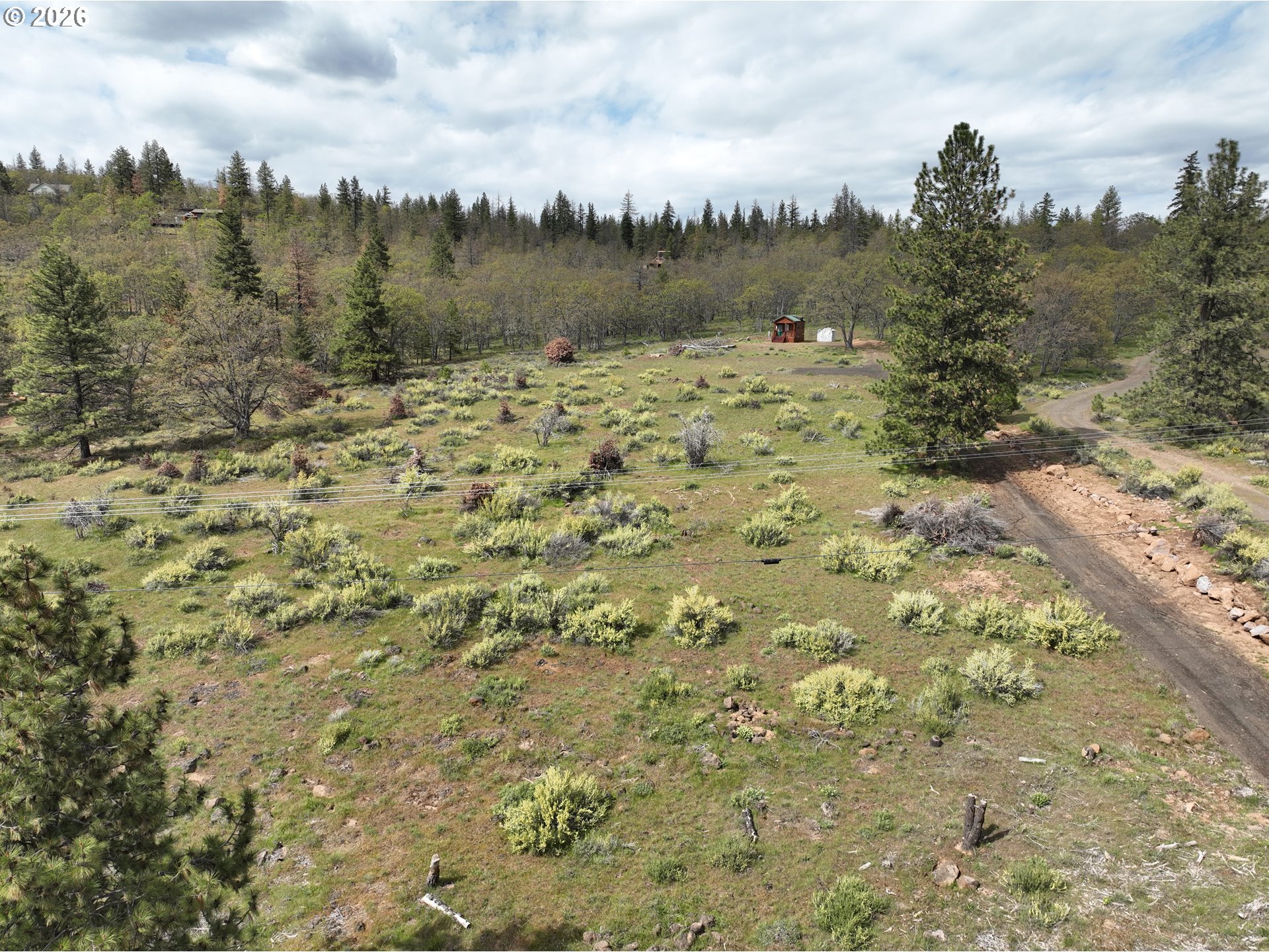 65 Red Cedar Property Photo 5