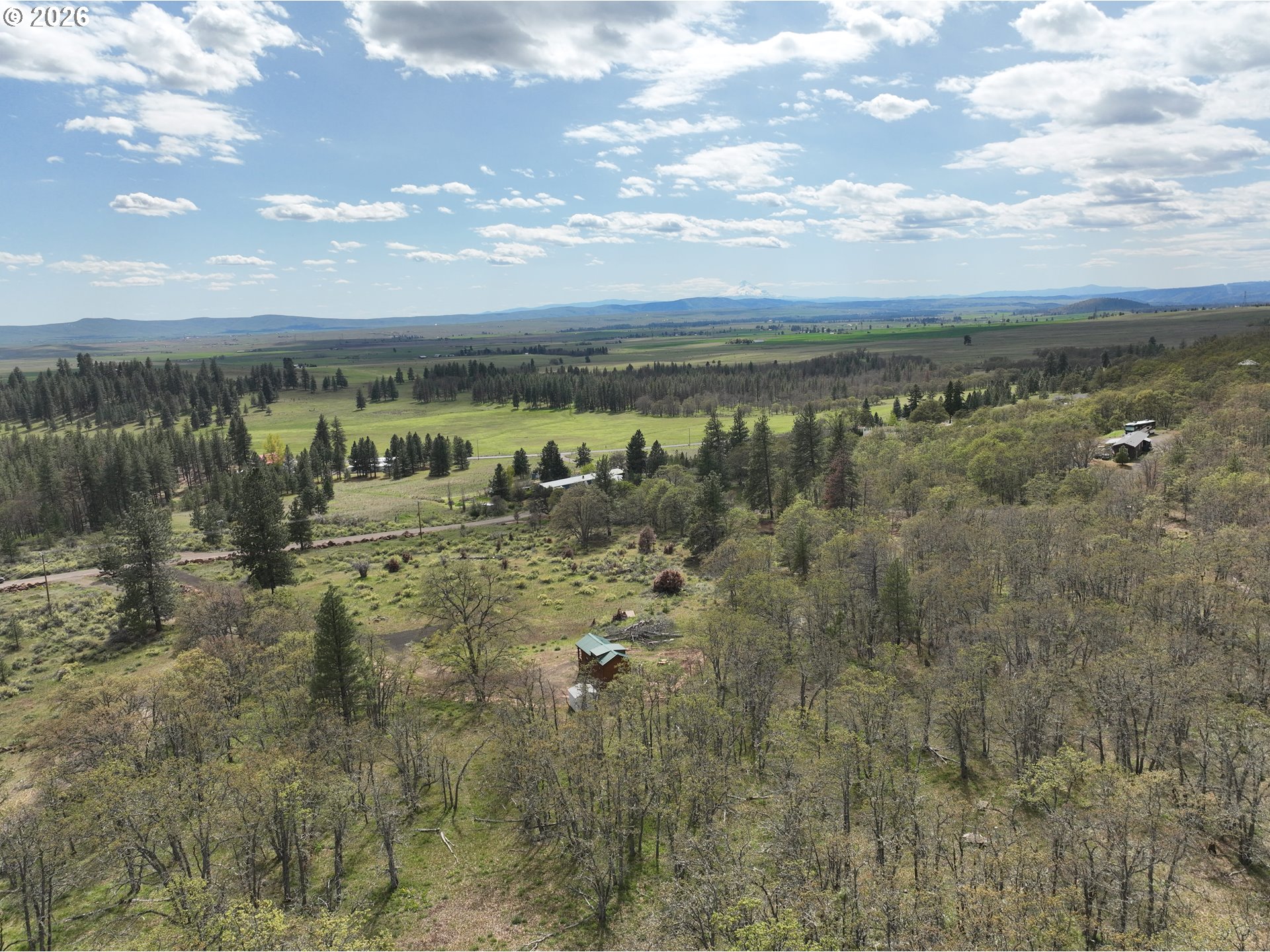 65 Red Cedar Property Photo 19