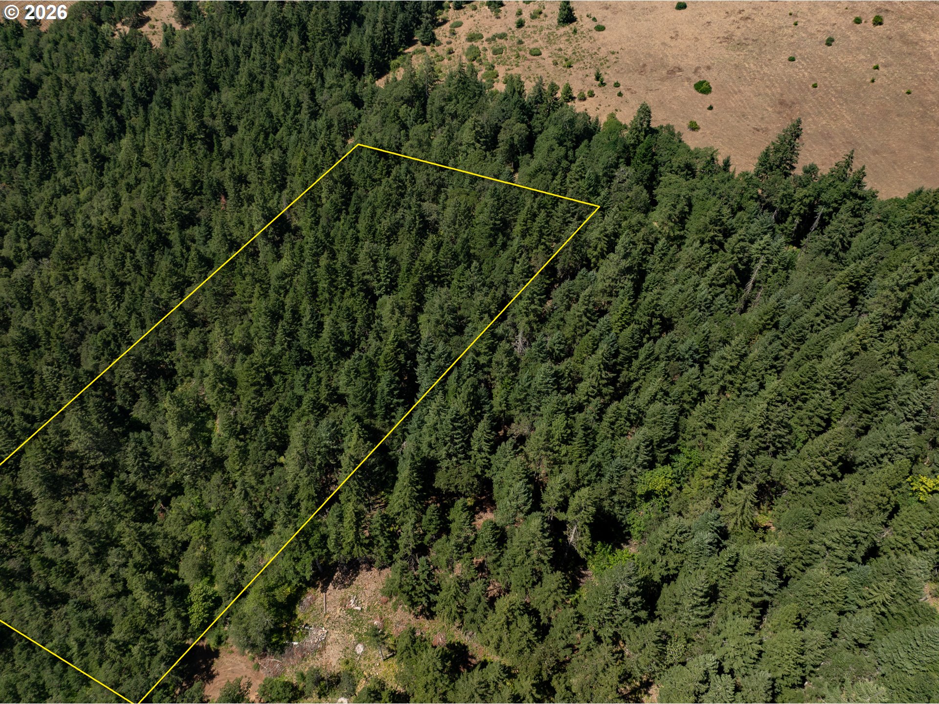 Lyons Rd Property Photo 3