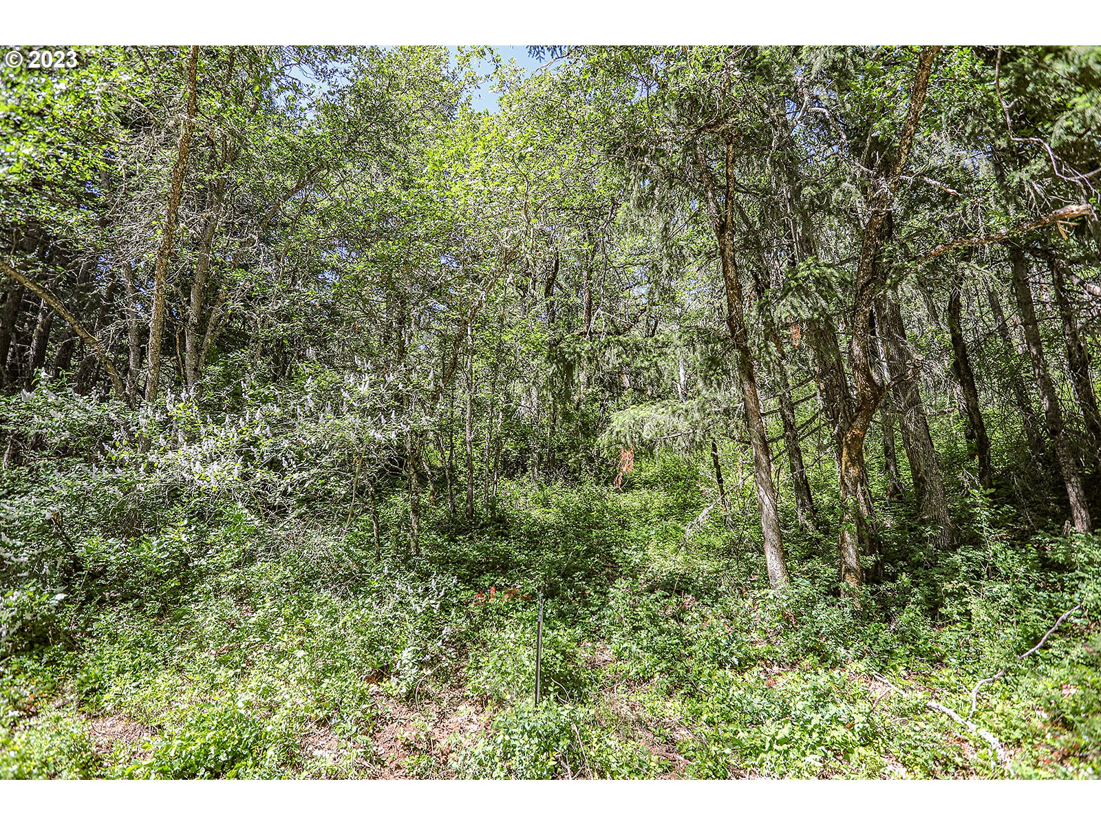 Lyons Rd Property Photo 6