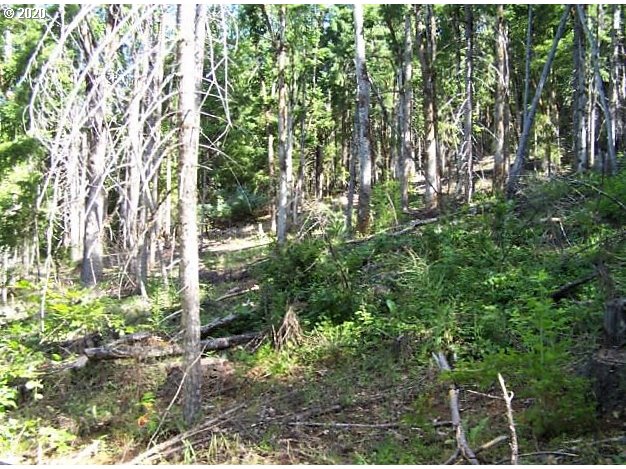 Lyons Rd Property Photo 16