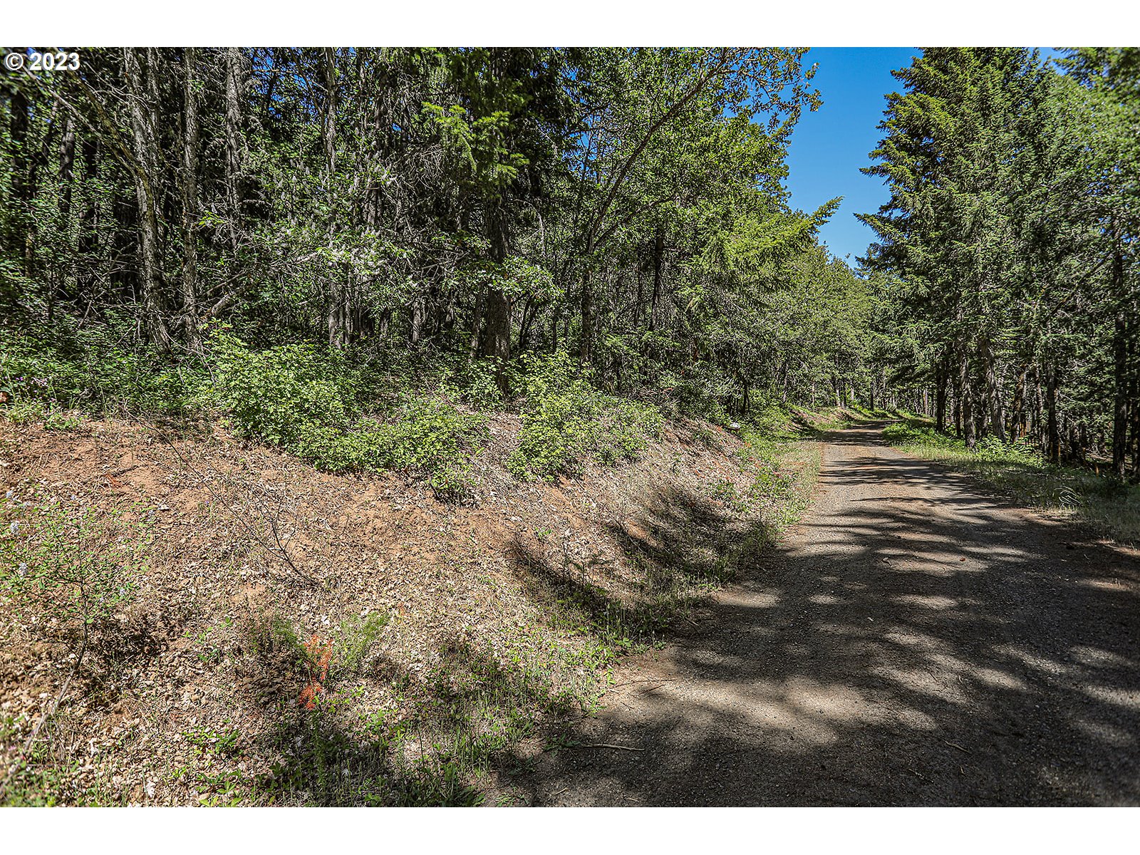 Lyons Rd Property Photo 18