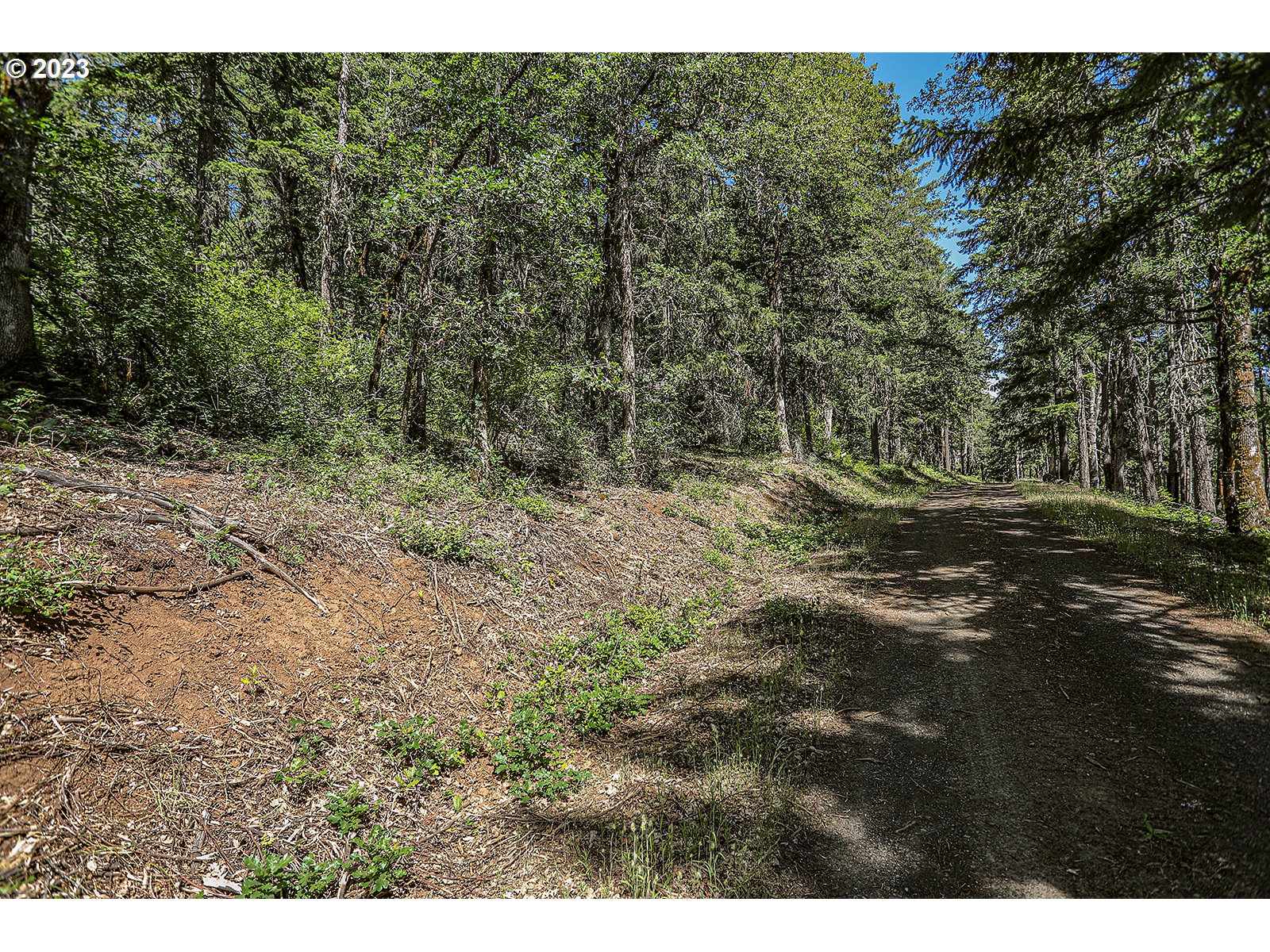 Lyons Rd Property Photo 20
