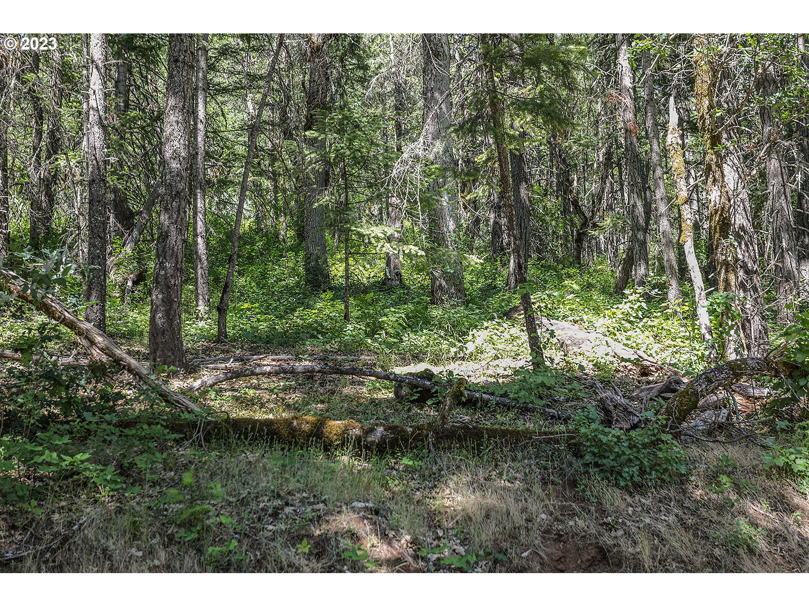 Lyons Rd Property Photo 21