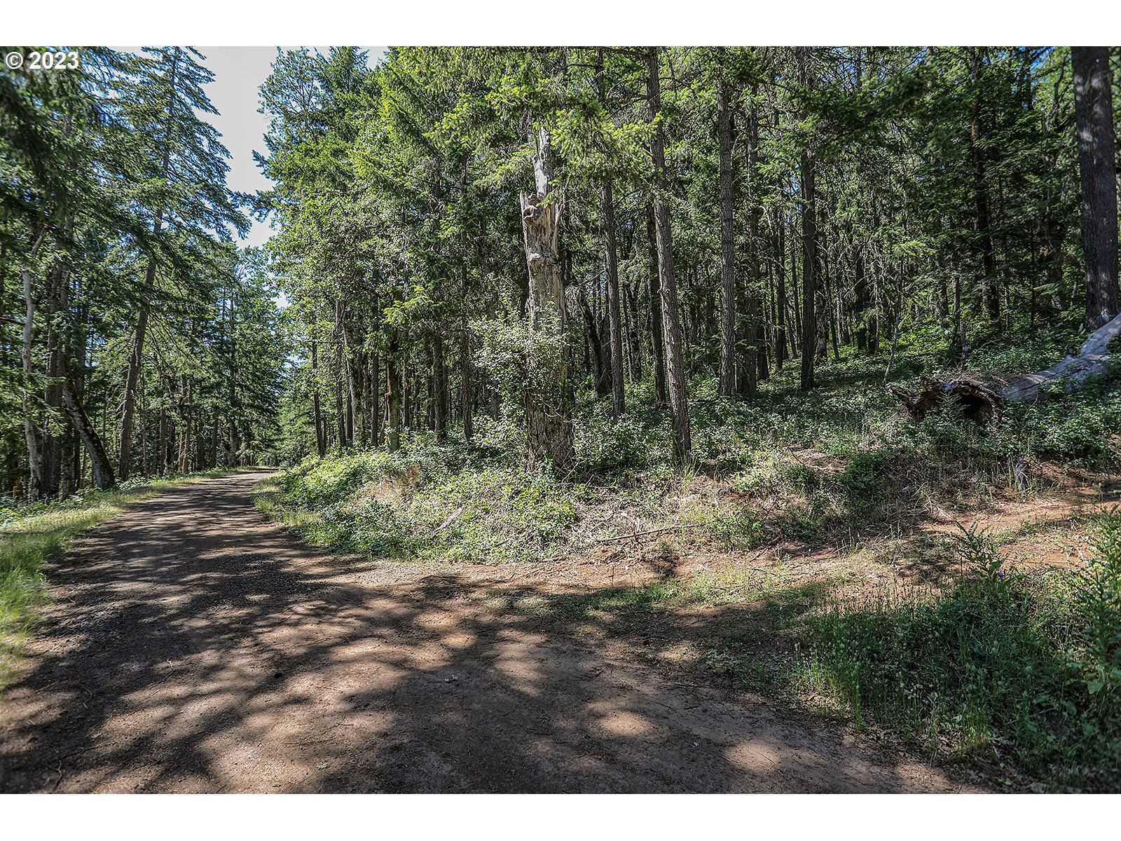 Lyons Rd Property Photo 22